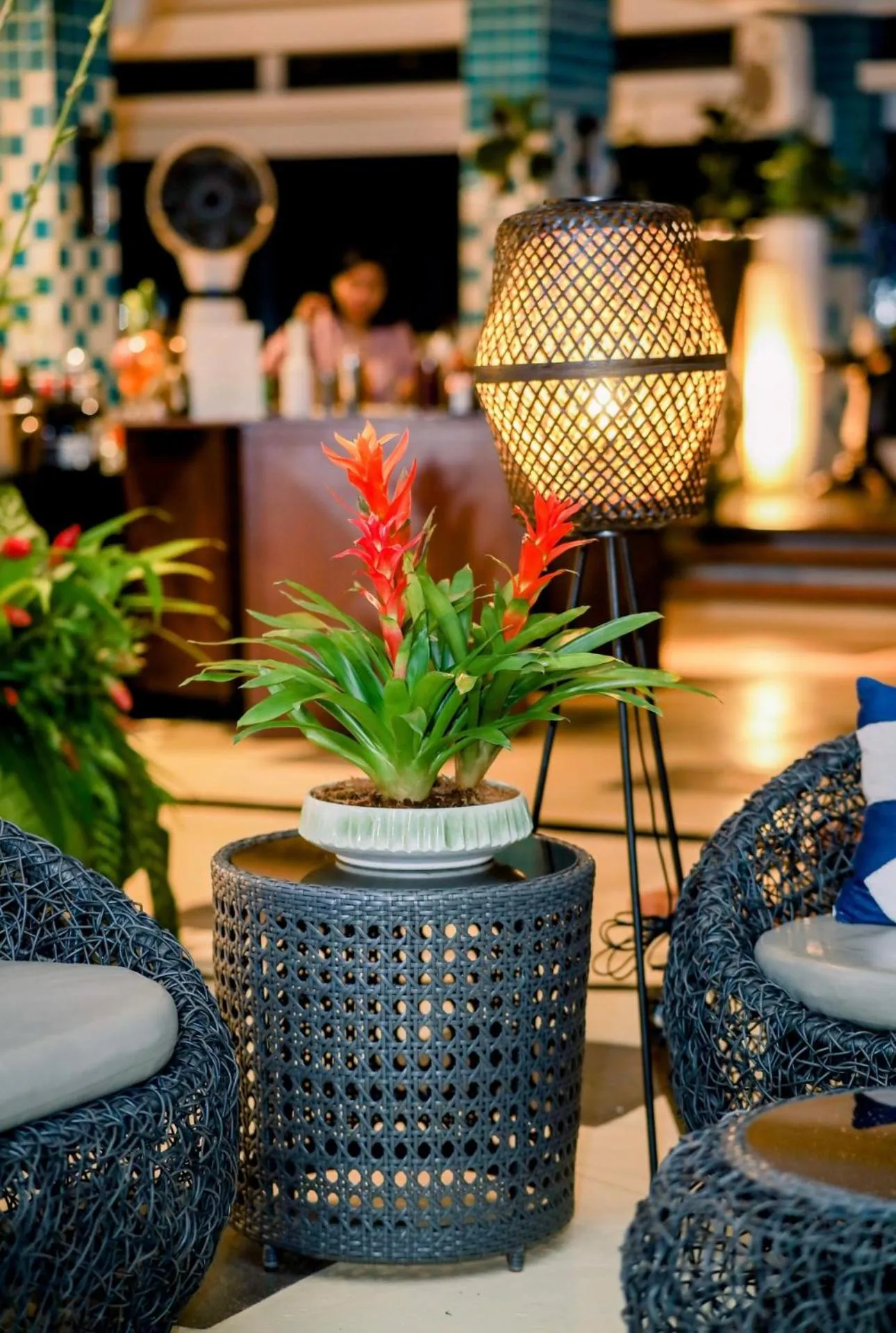 Garden in Stonehill Suites