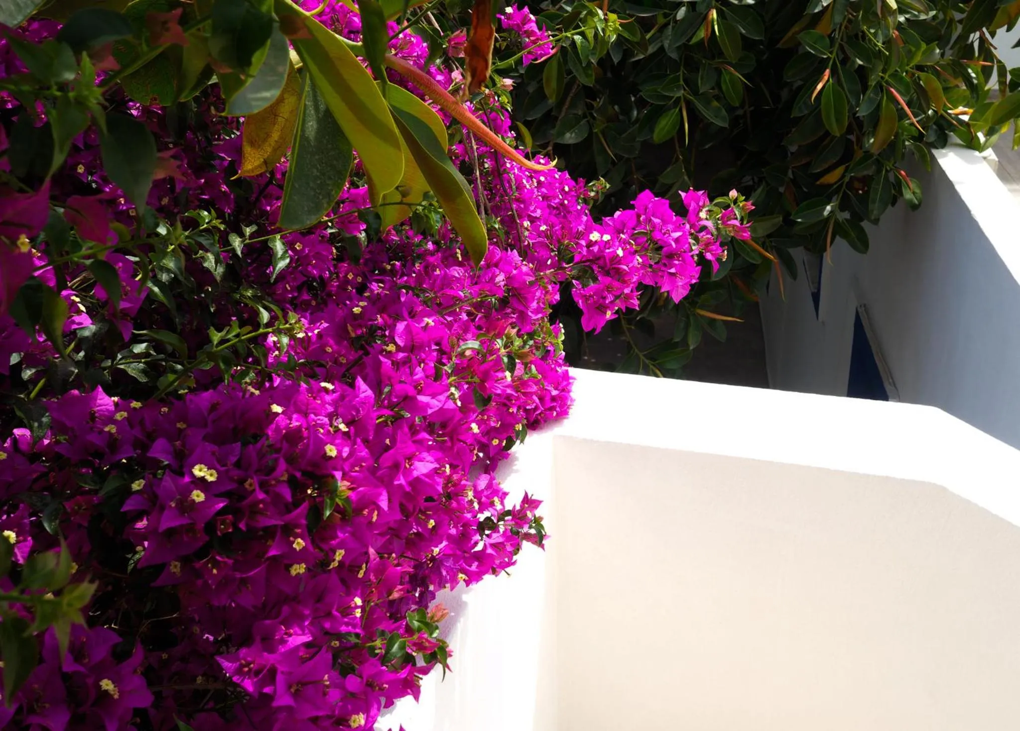 Property building in Oya Butik Otel