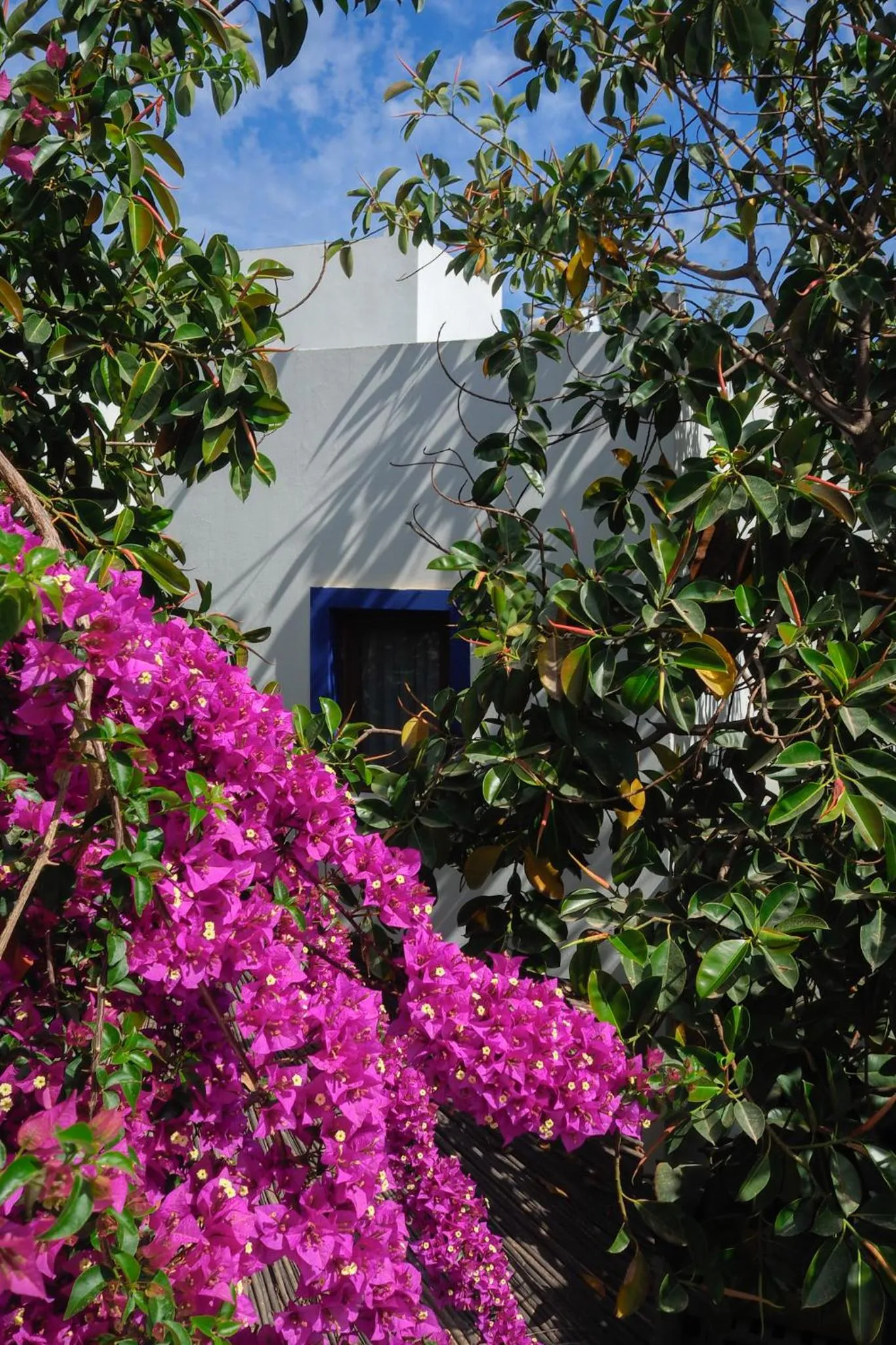 Property building in Oya Butik Otel