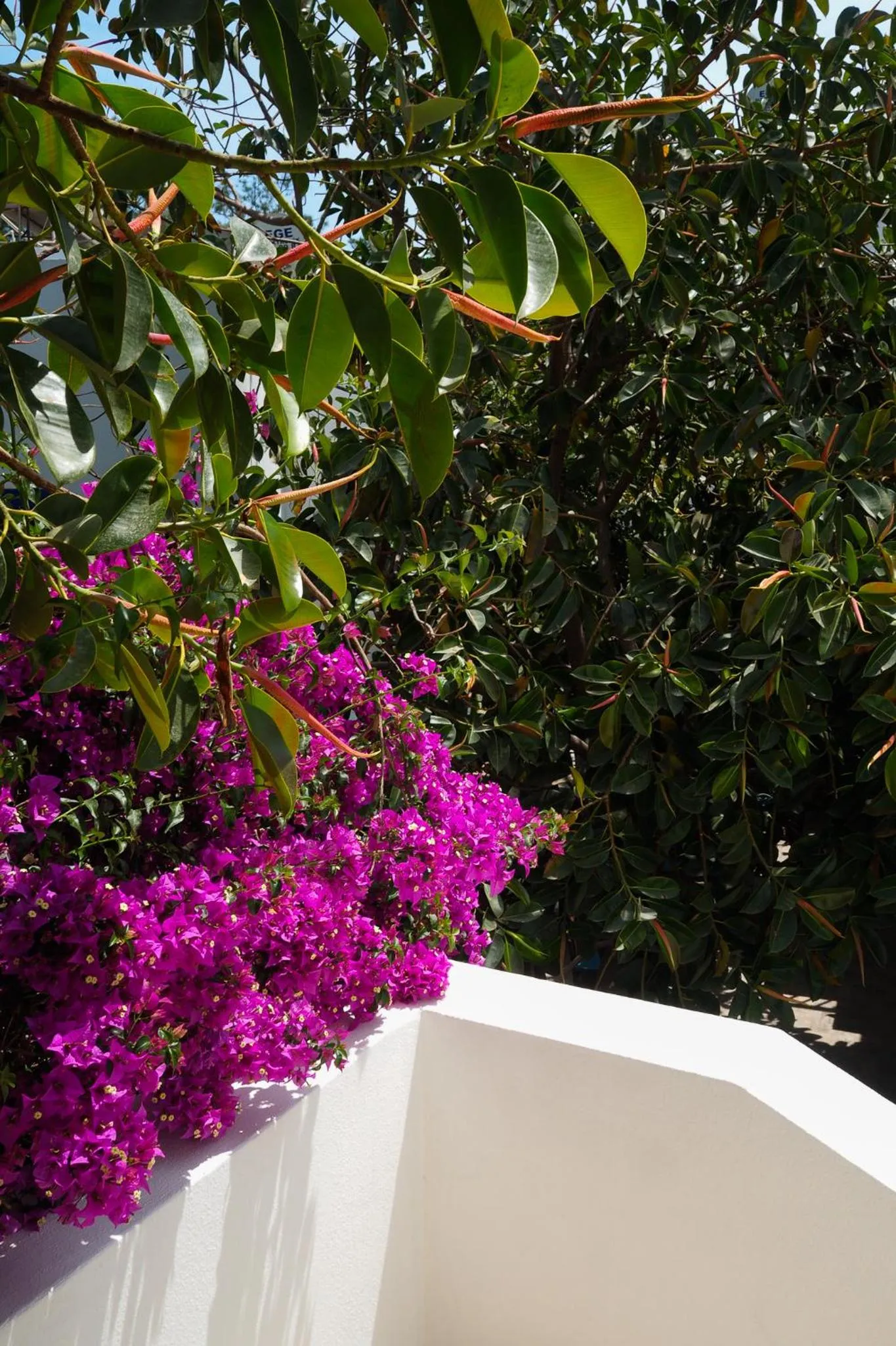 Property building in Oya Butik Otel