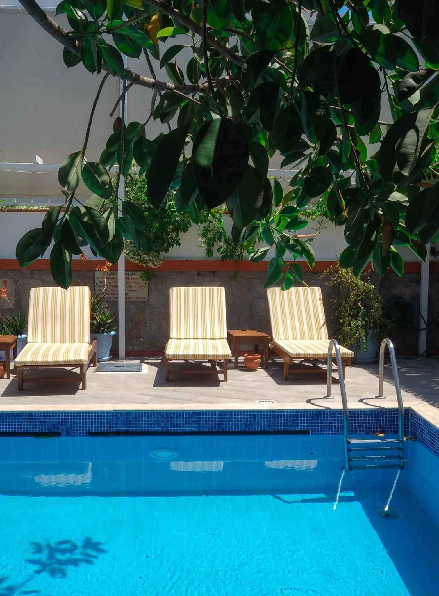 Swimming pool in Oya Butik Otel