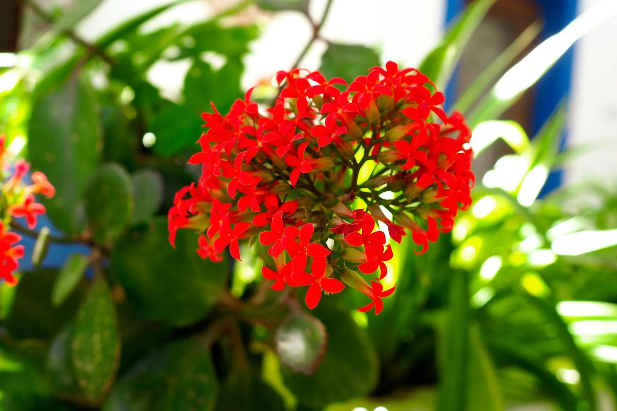 Property building in Oya Butik Otel