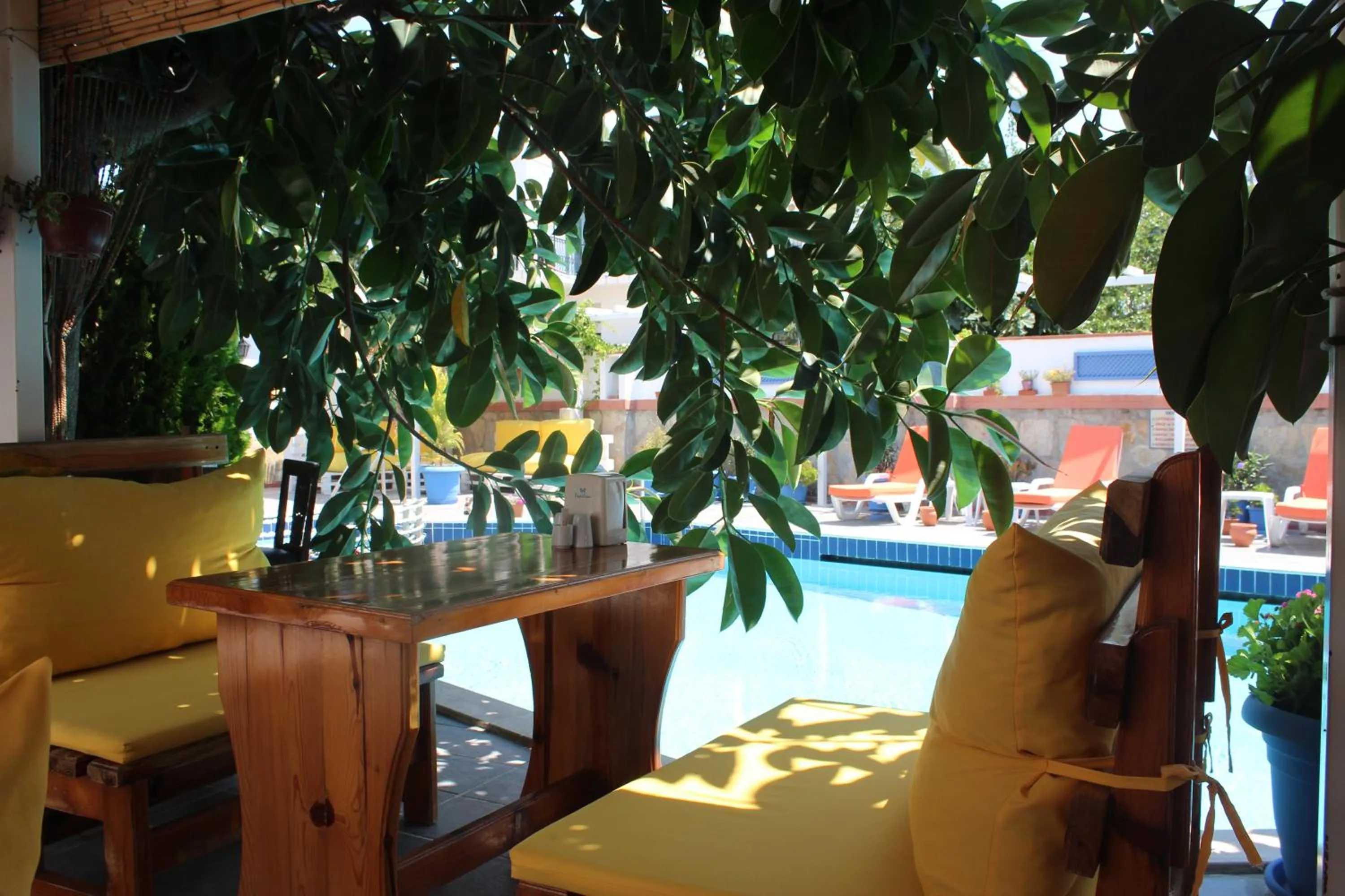 Garden view in Oya Butik Otel