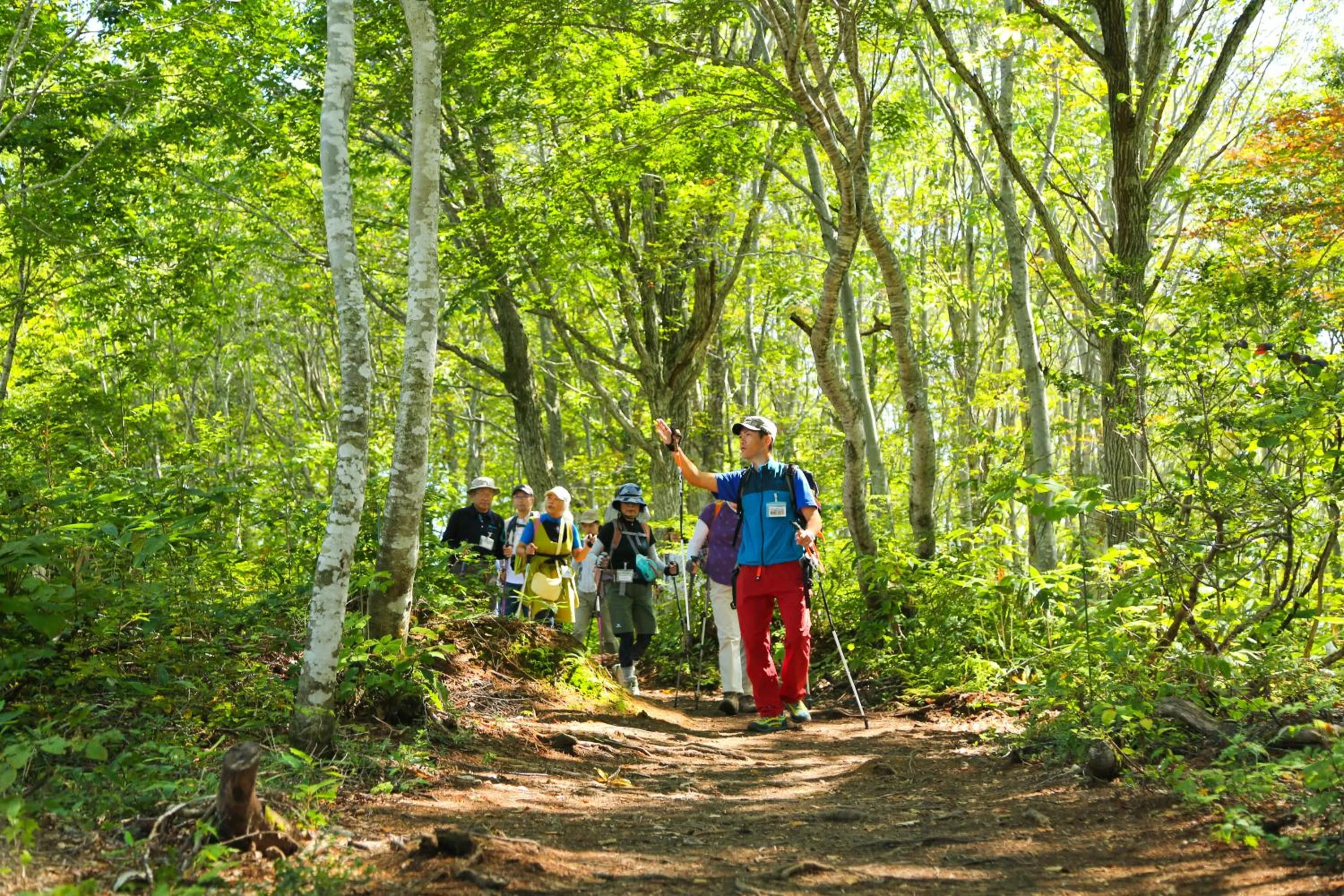 Hiking in Hakuba Hatago Maruhachi