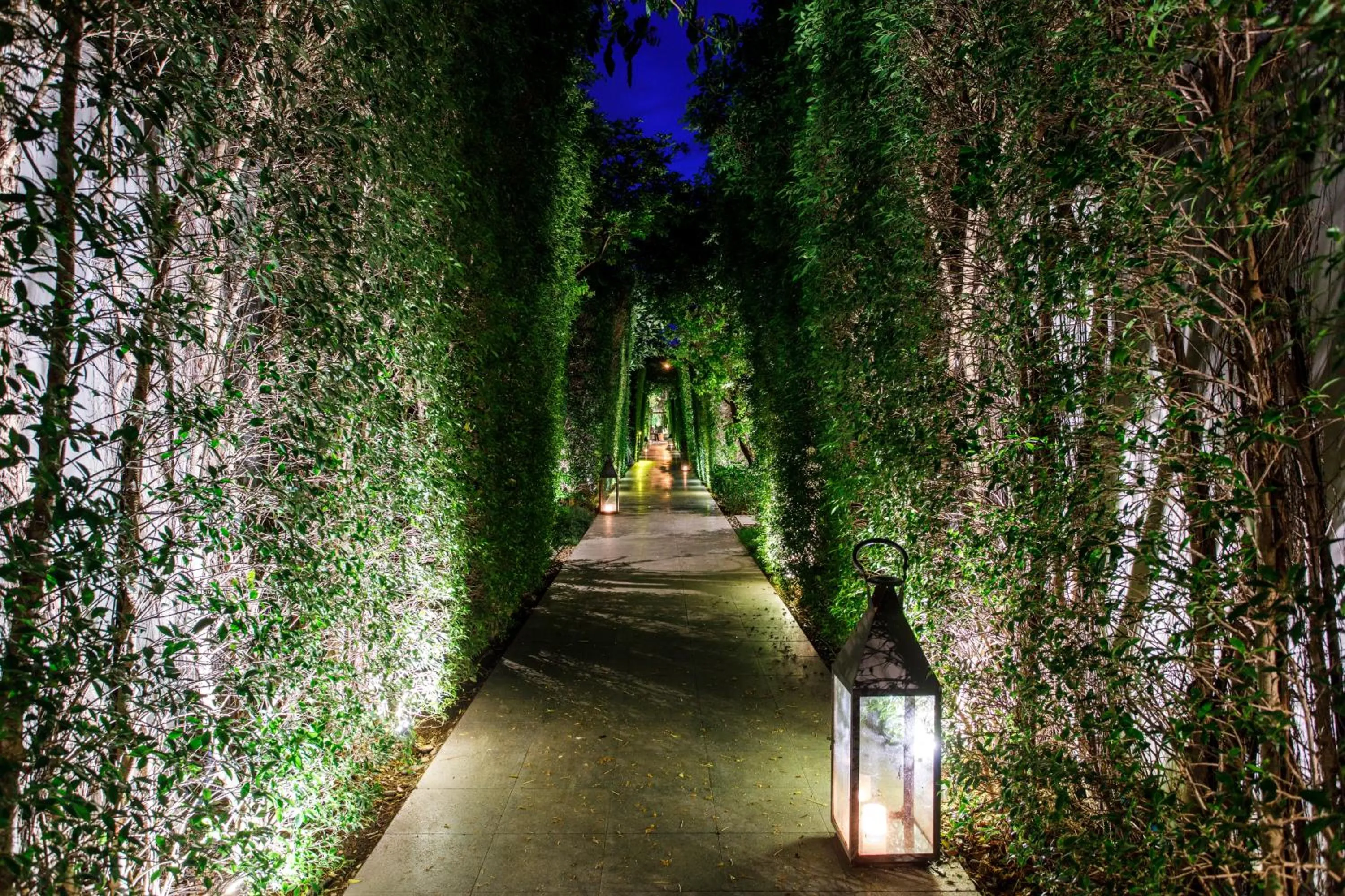 Garden in V Villas Hua Hin - MGallery Collection