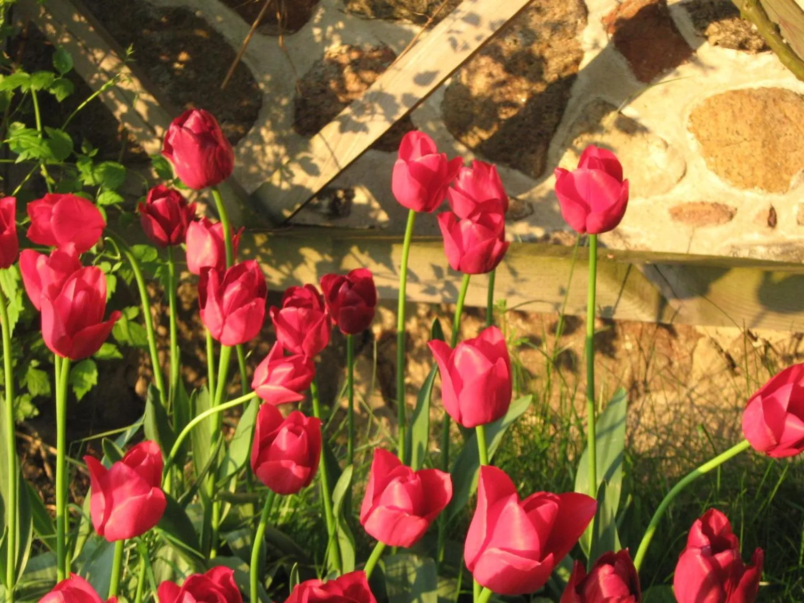 Garden in Klasztor Cedynia Hotel