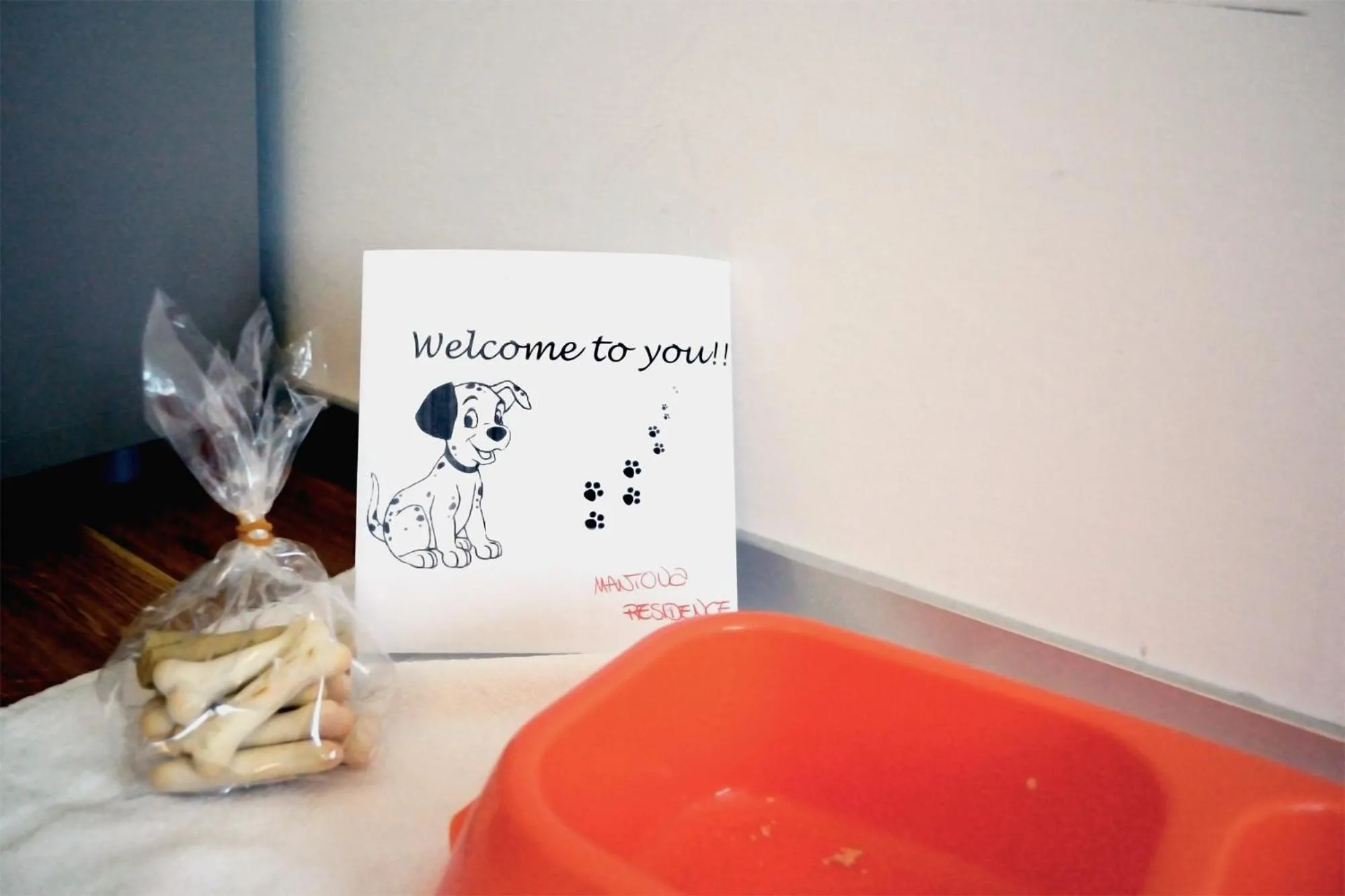 Pets in Hotel Mantova Residence