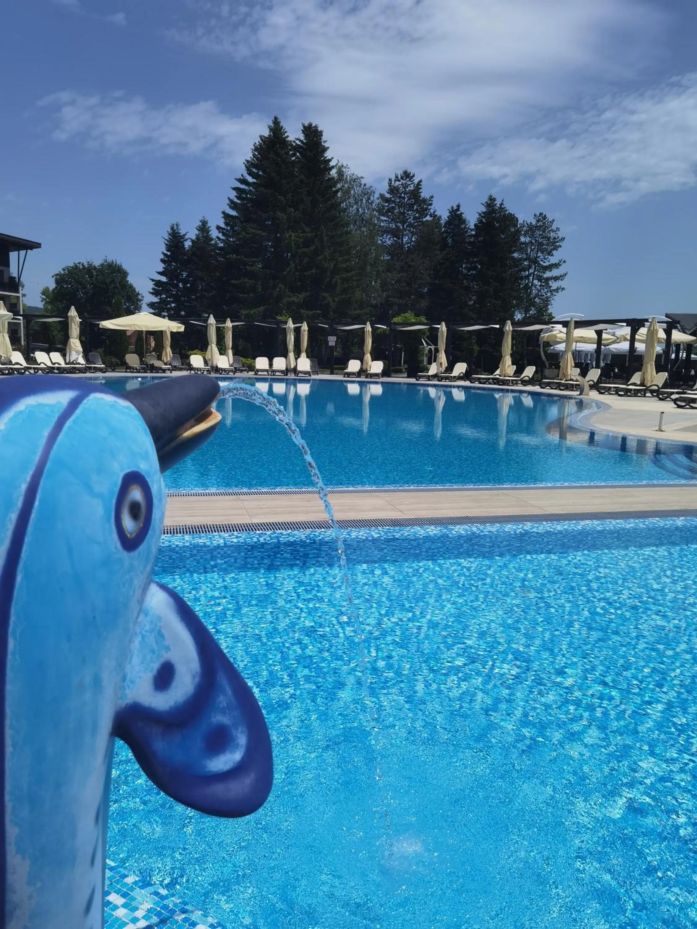 Swimming pool in Belchin Garden SPA&Wellness