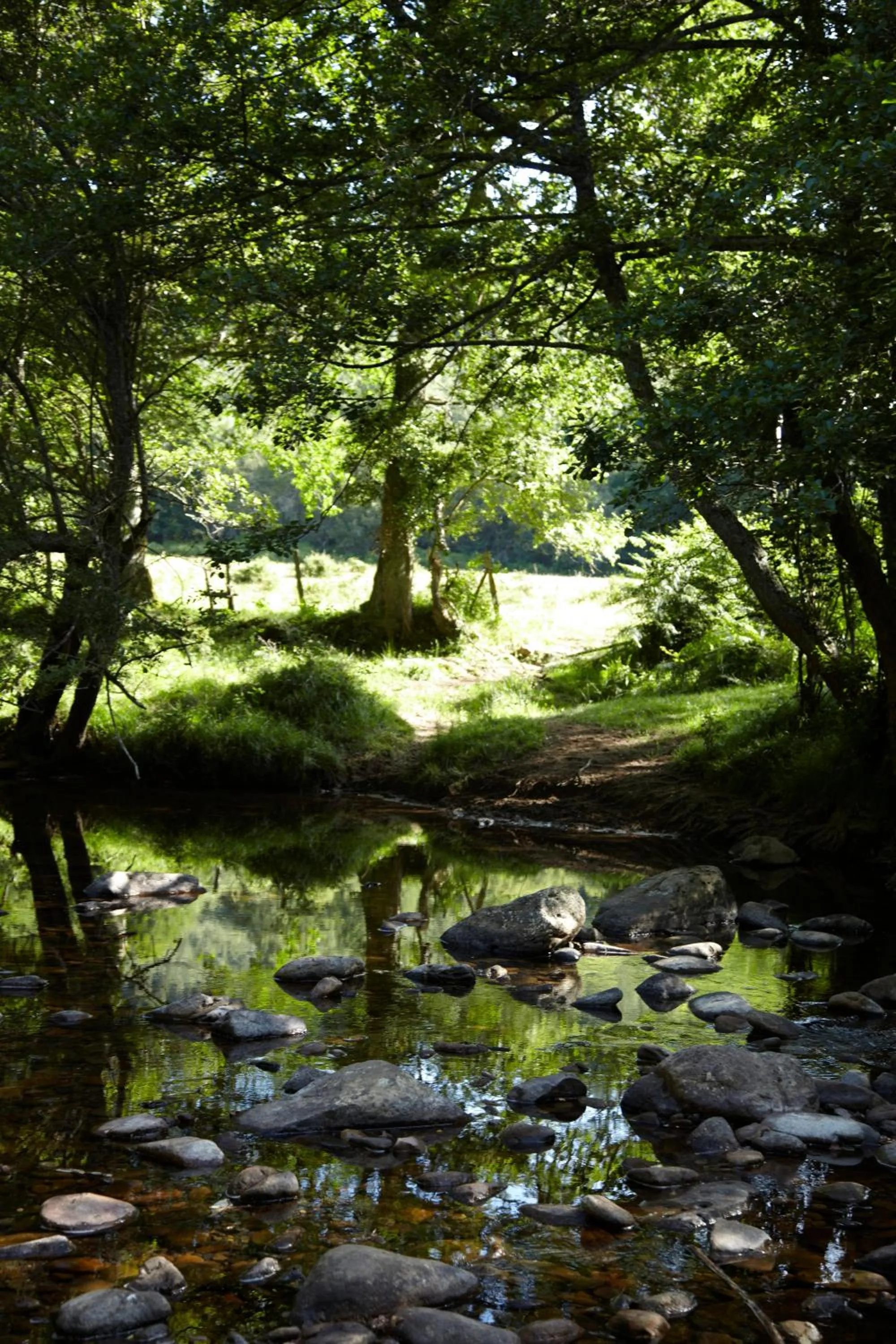 Area and facilities in Hotel Nagusi