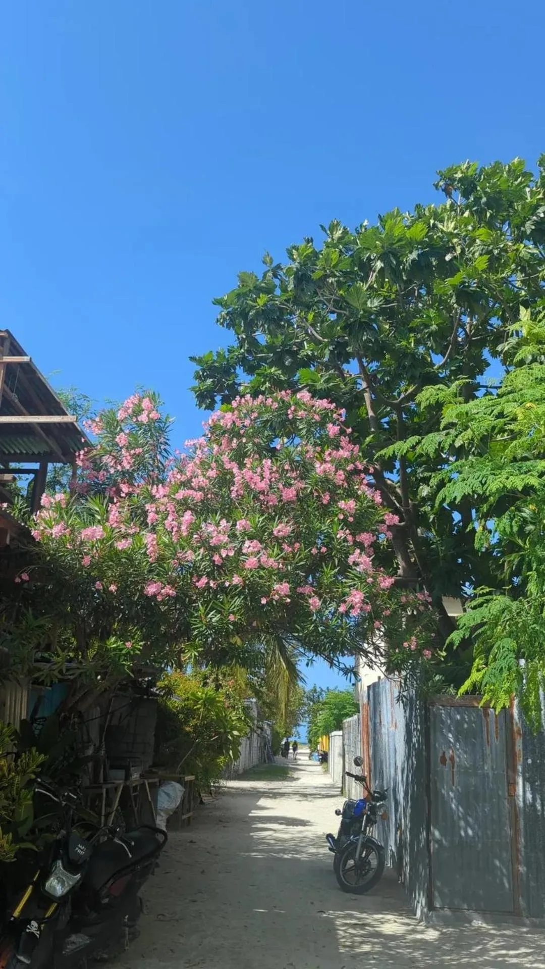 IRIS Beach Residence