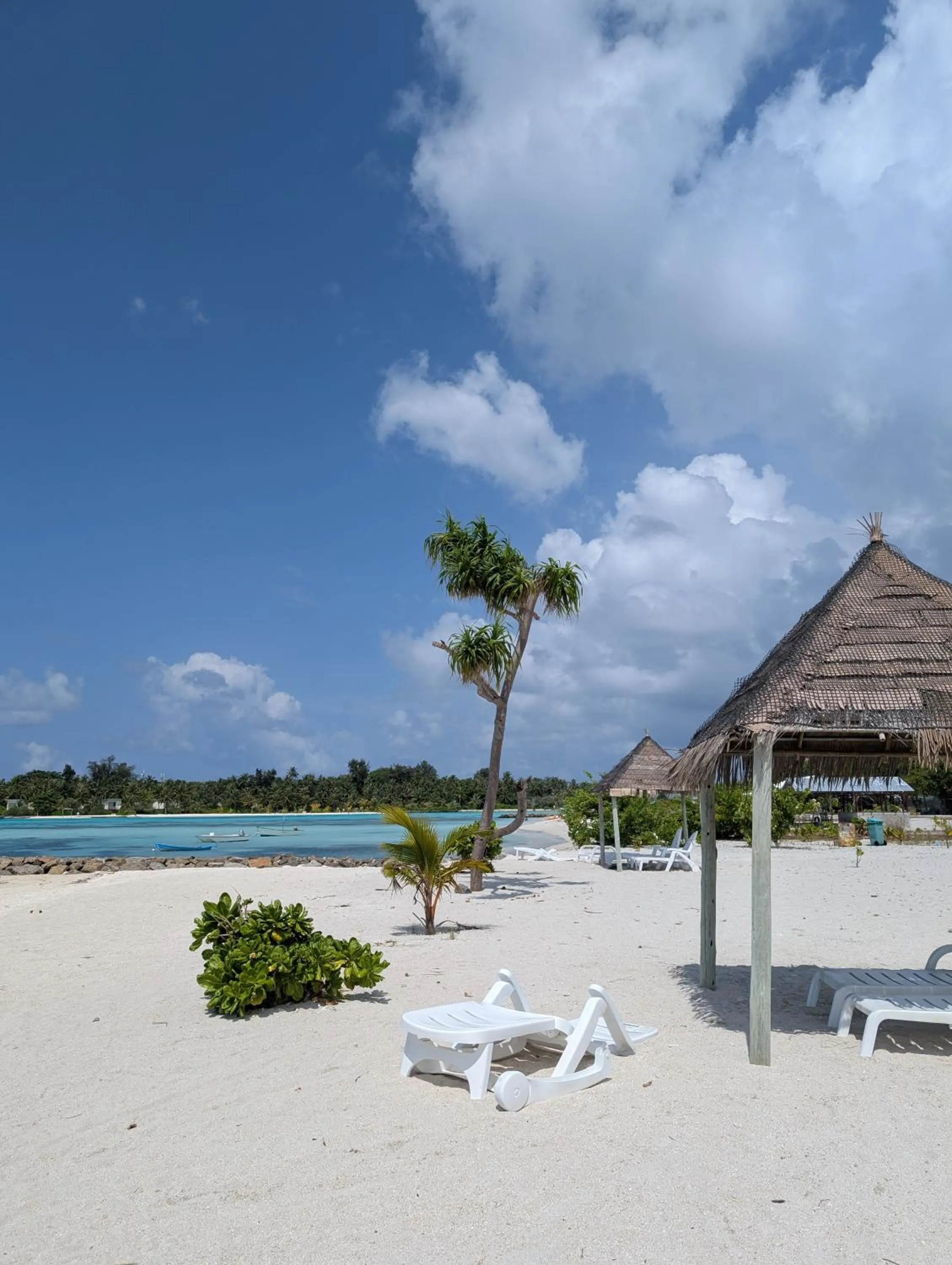 IRIS Beach Residence