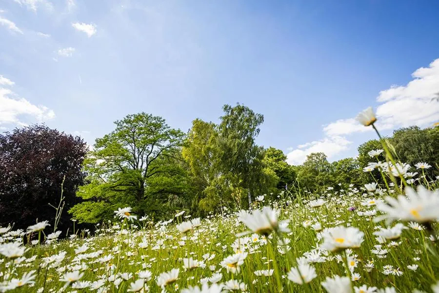 Hiking in Thermalhotel Kemper