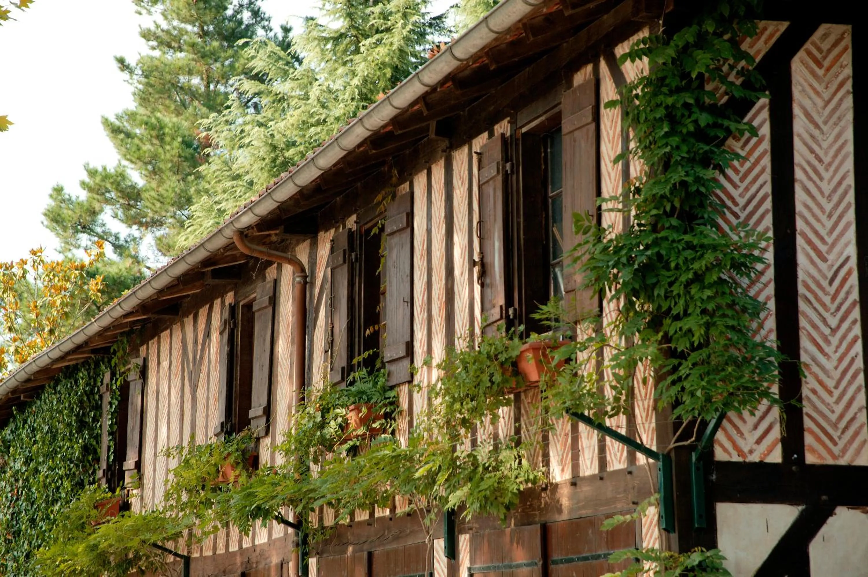 Decorative detail in Relais de la Poste