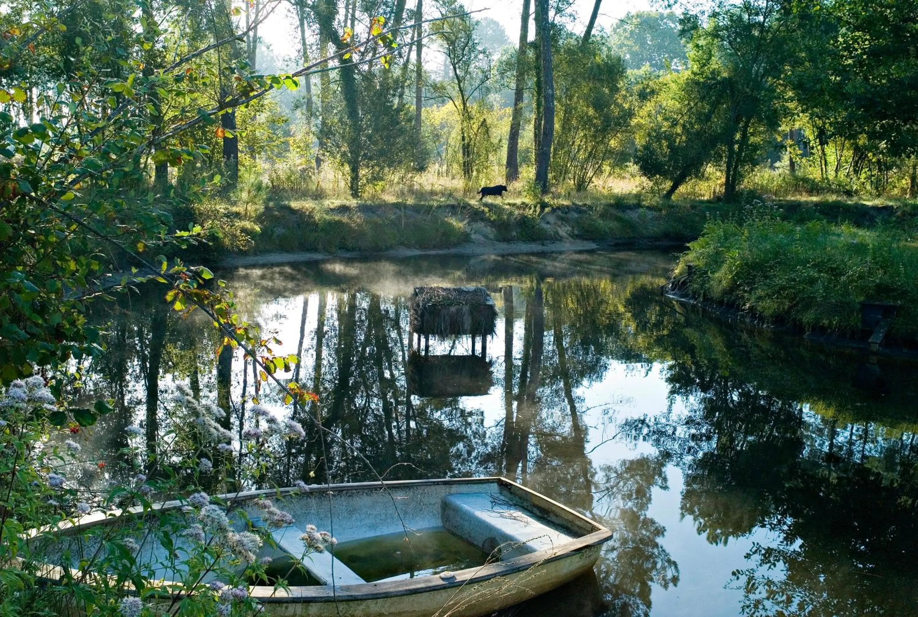 Garden in Relais de la Poste