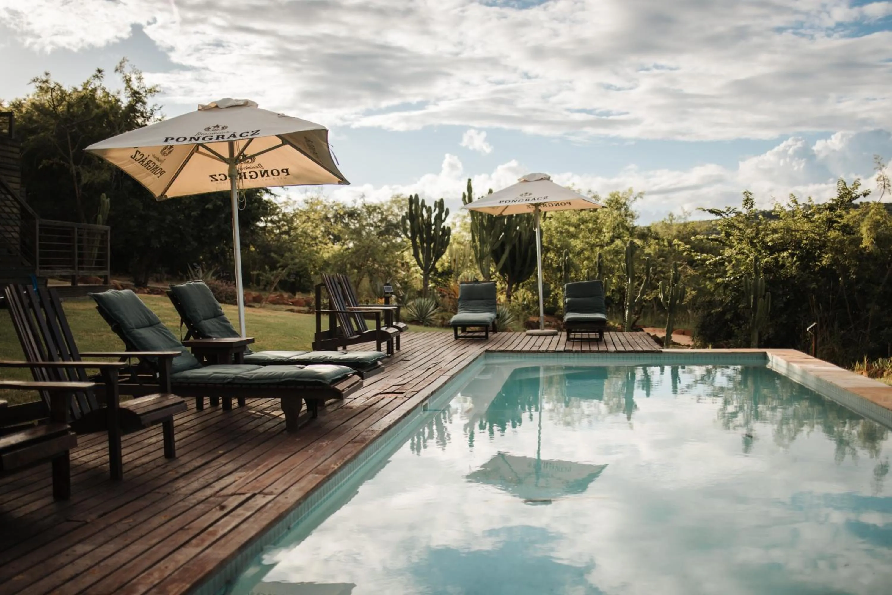 Pool view in Ndhula Luxury Tented Lodge