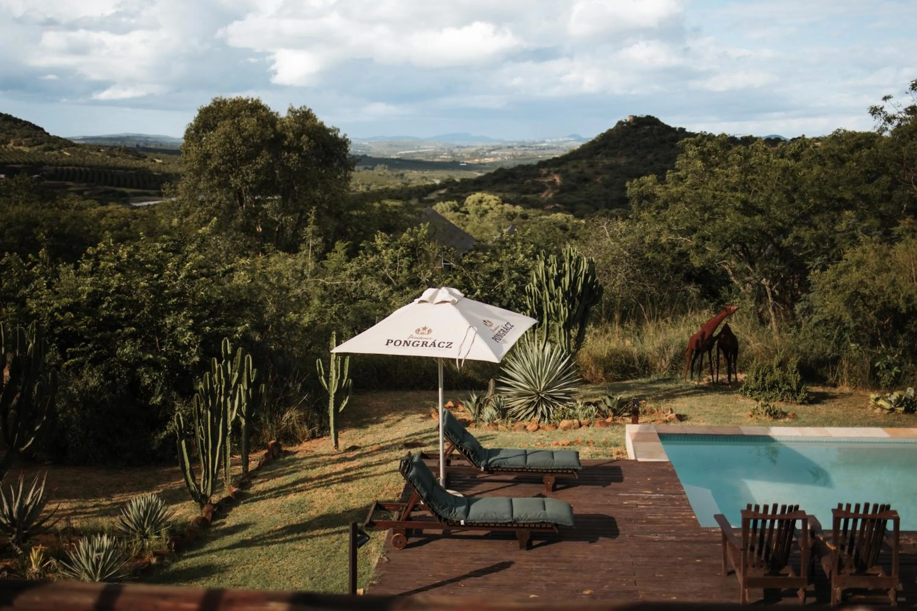 Natural landscape in Ndhula Luxury Tented Lodge