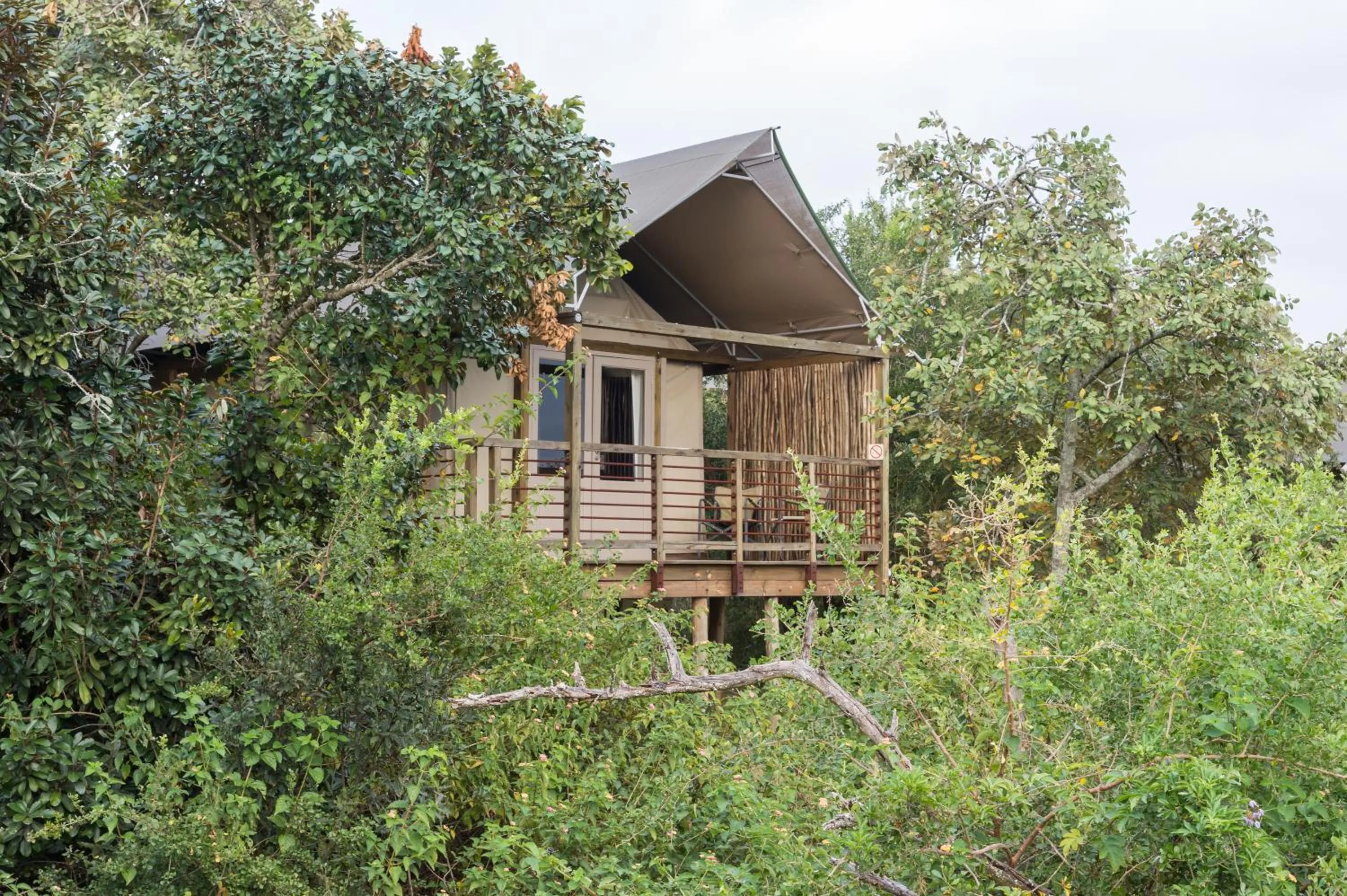 Garden in Ndhula Luxury Tented Lodge
