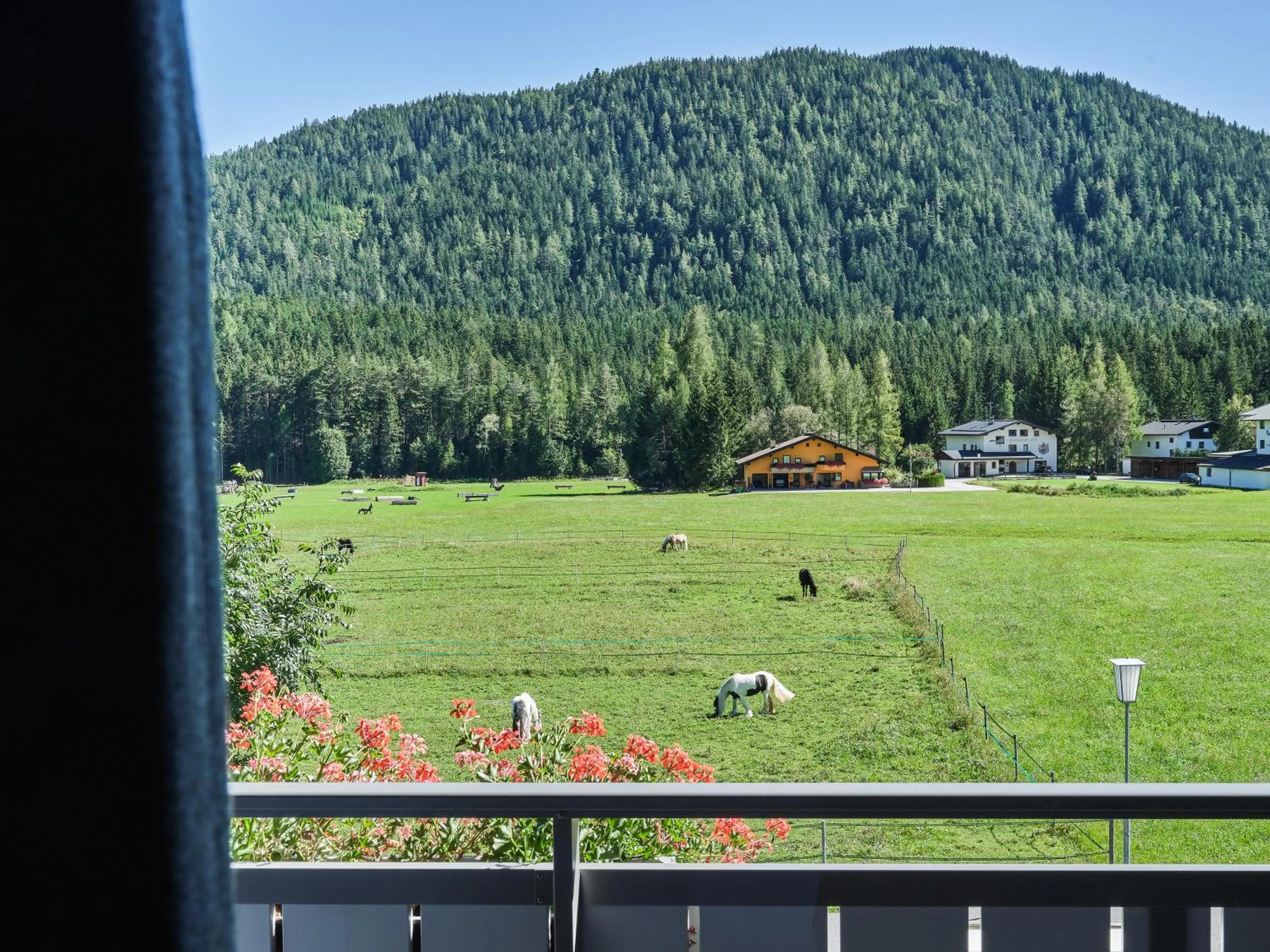 Natural landscape in Design Apartments & Zimmer - Zugspitze