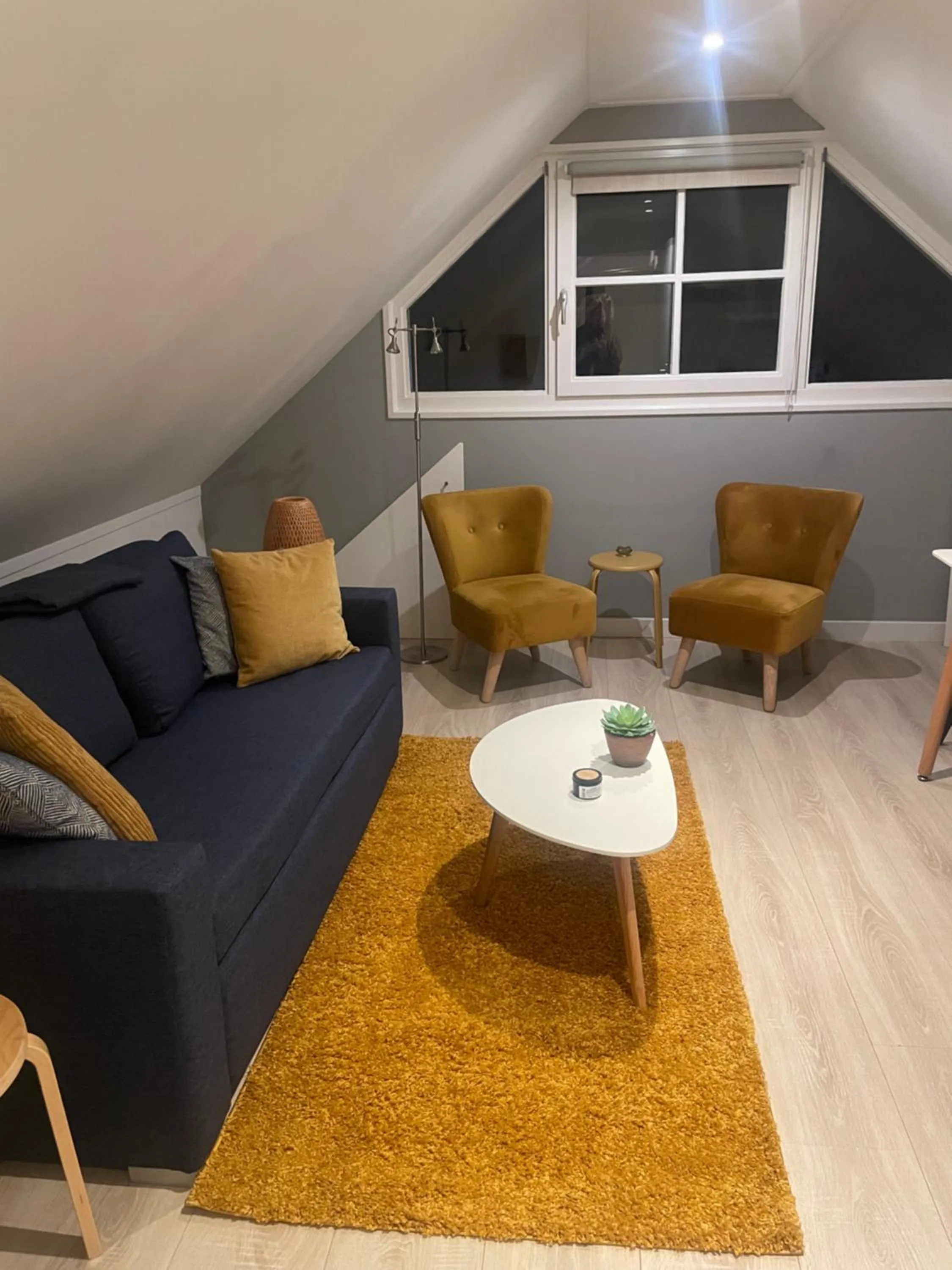 Living room in De Fugelsang