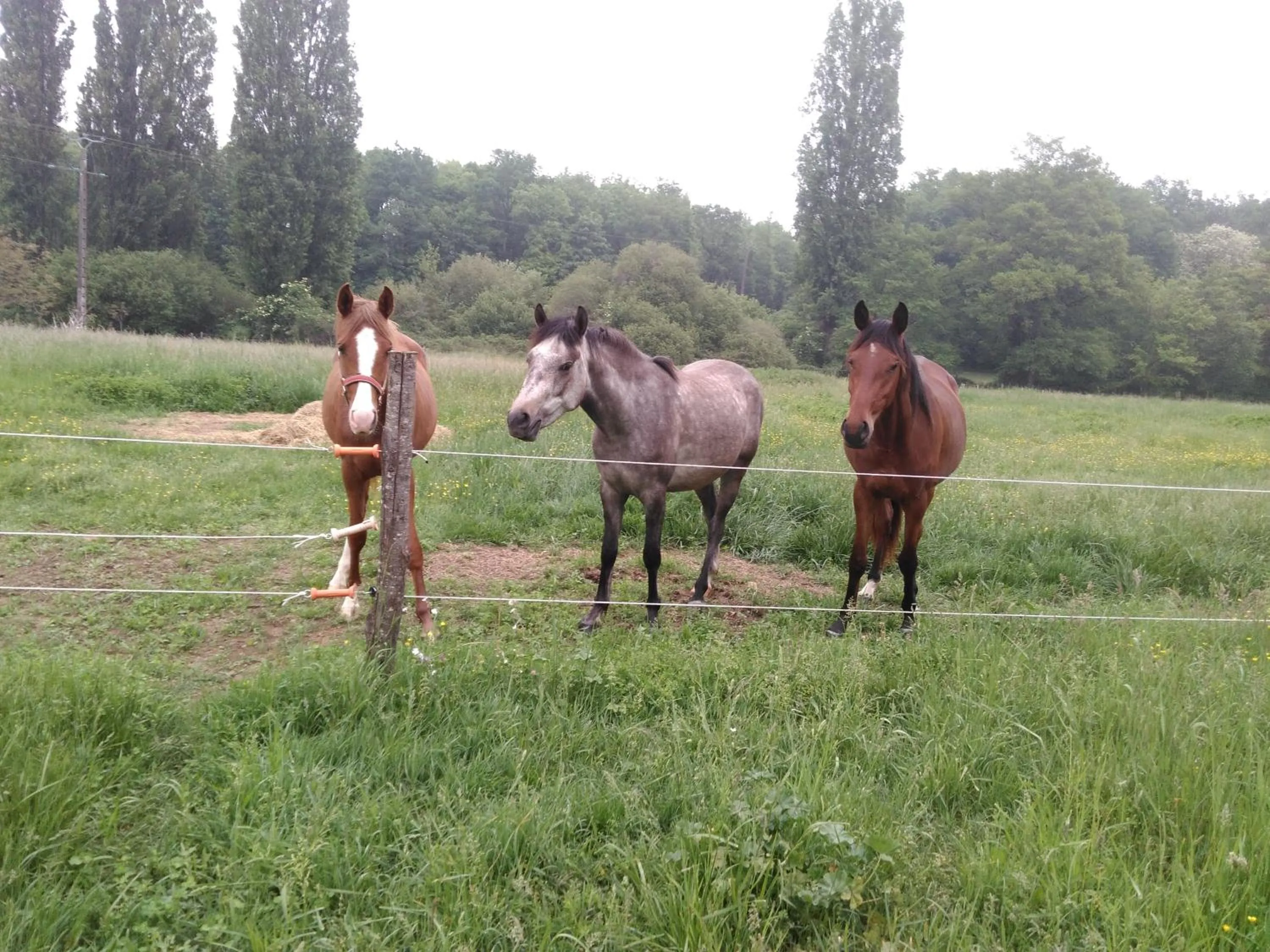 Chambres d'hôtes Gourdon