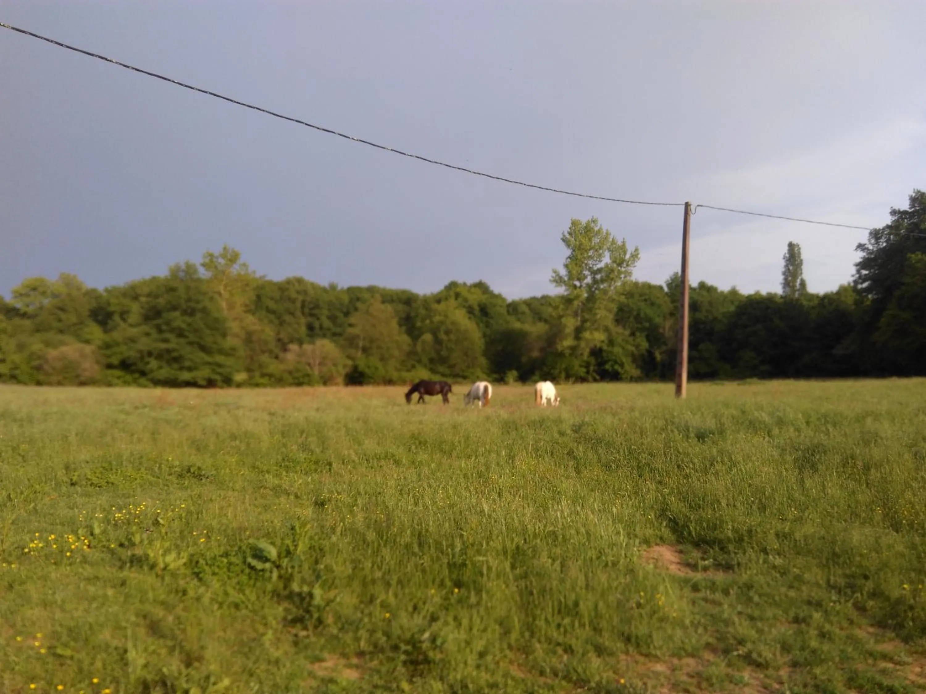Chambres d'hôtes Gourdon