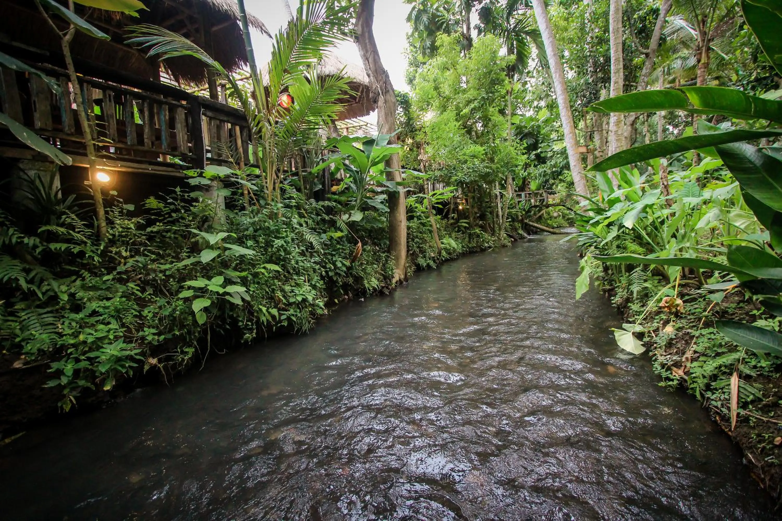Natural landscape in Keramas Sacred River Retreat Resort and Villa