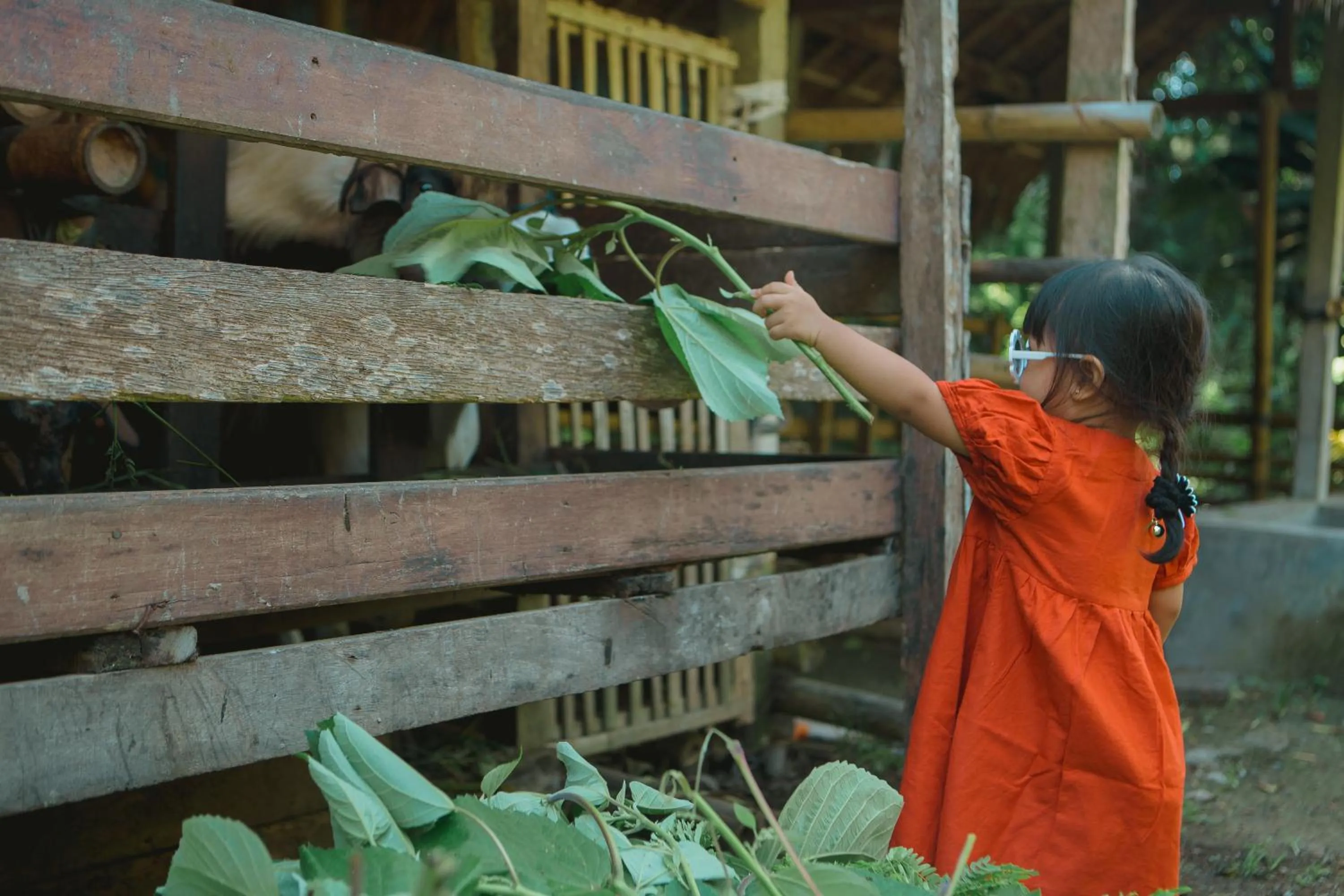 Animals in Keramas Sacred River Retreat Resort and Villa