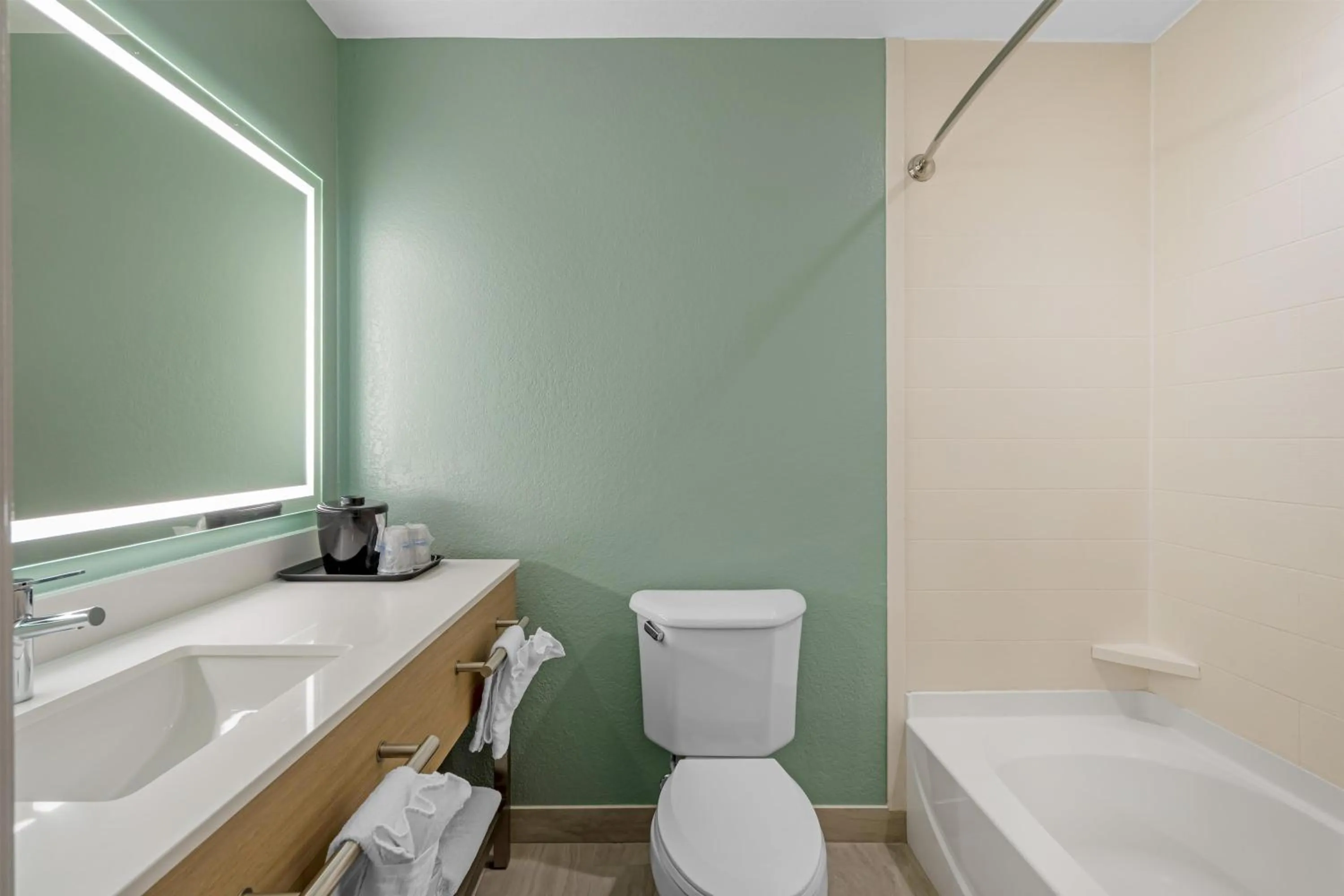 Bathroom in Best Western Wesley Chapel