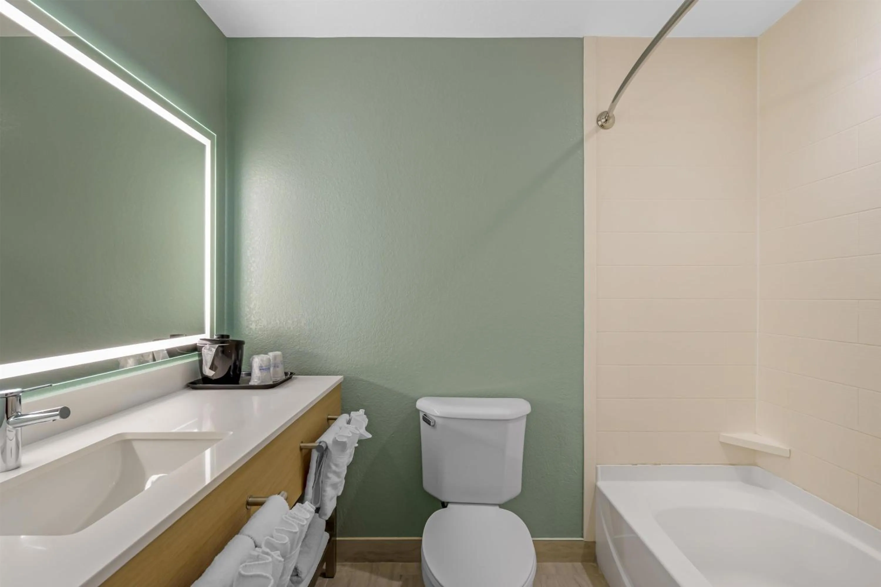 Bathroom in Best Western Wesley Chapel