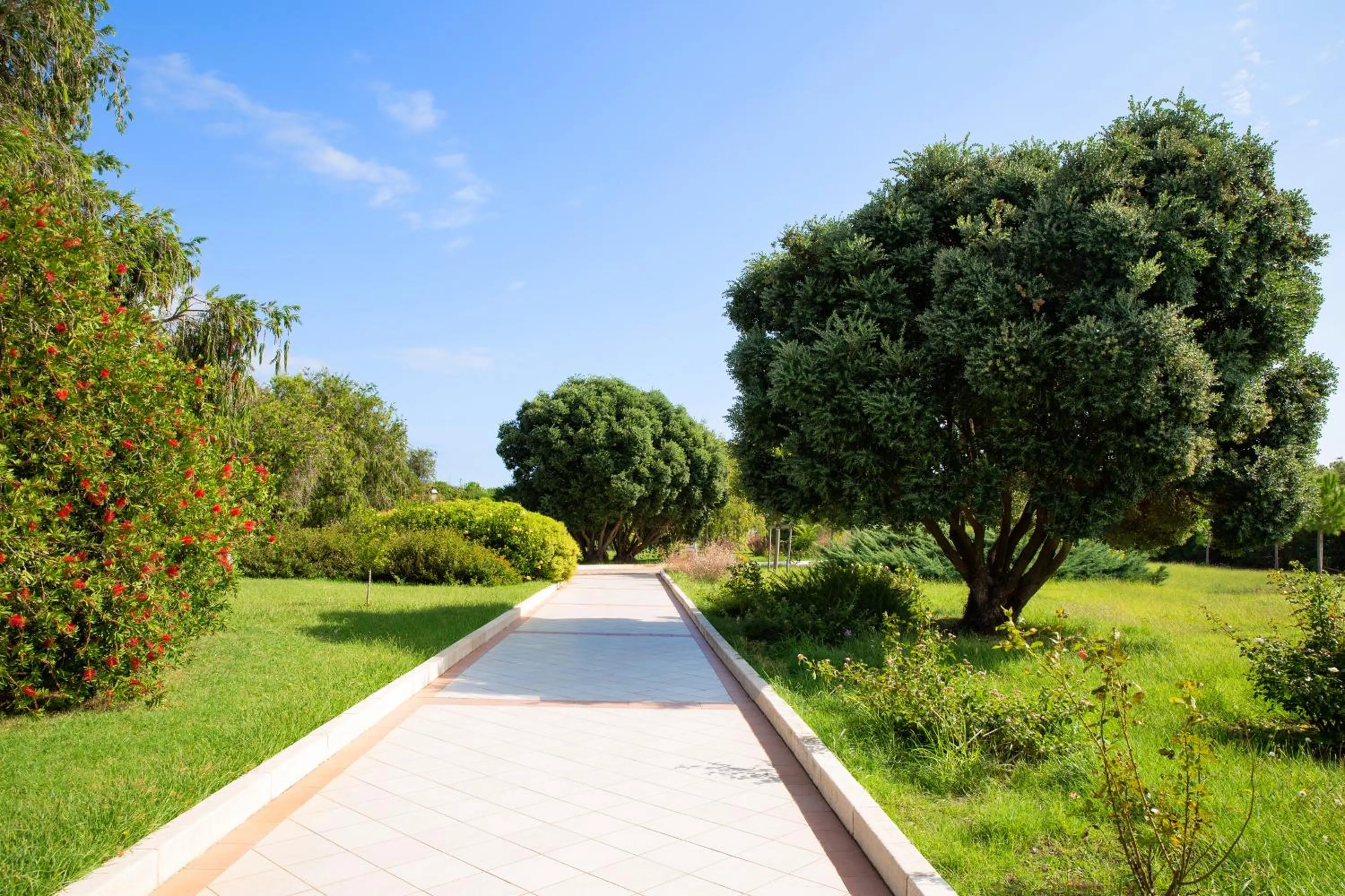 Garden view in Club Hotel Marina Beach
