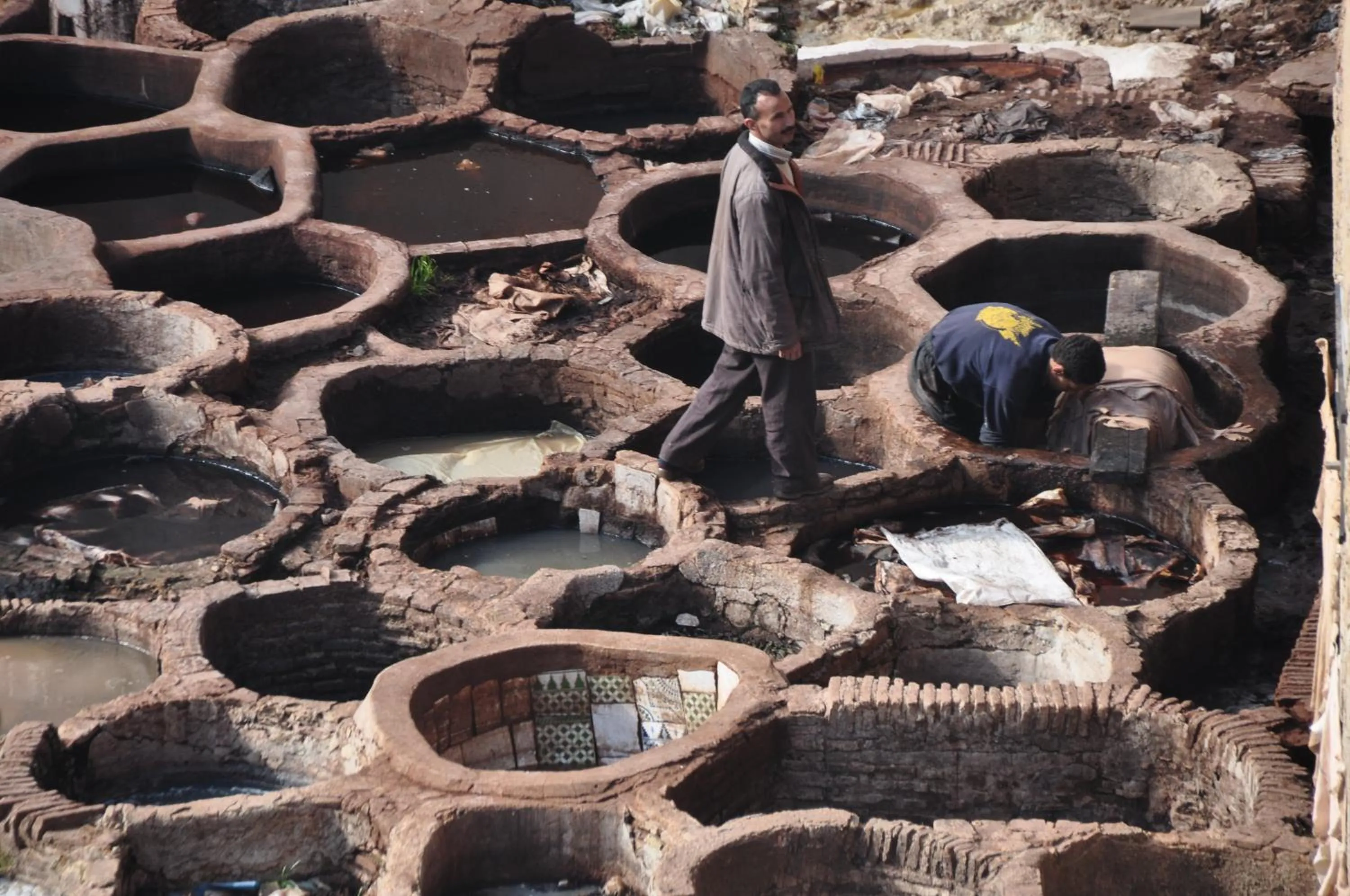 Area and facilities in Dar Iman