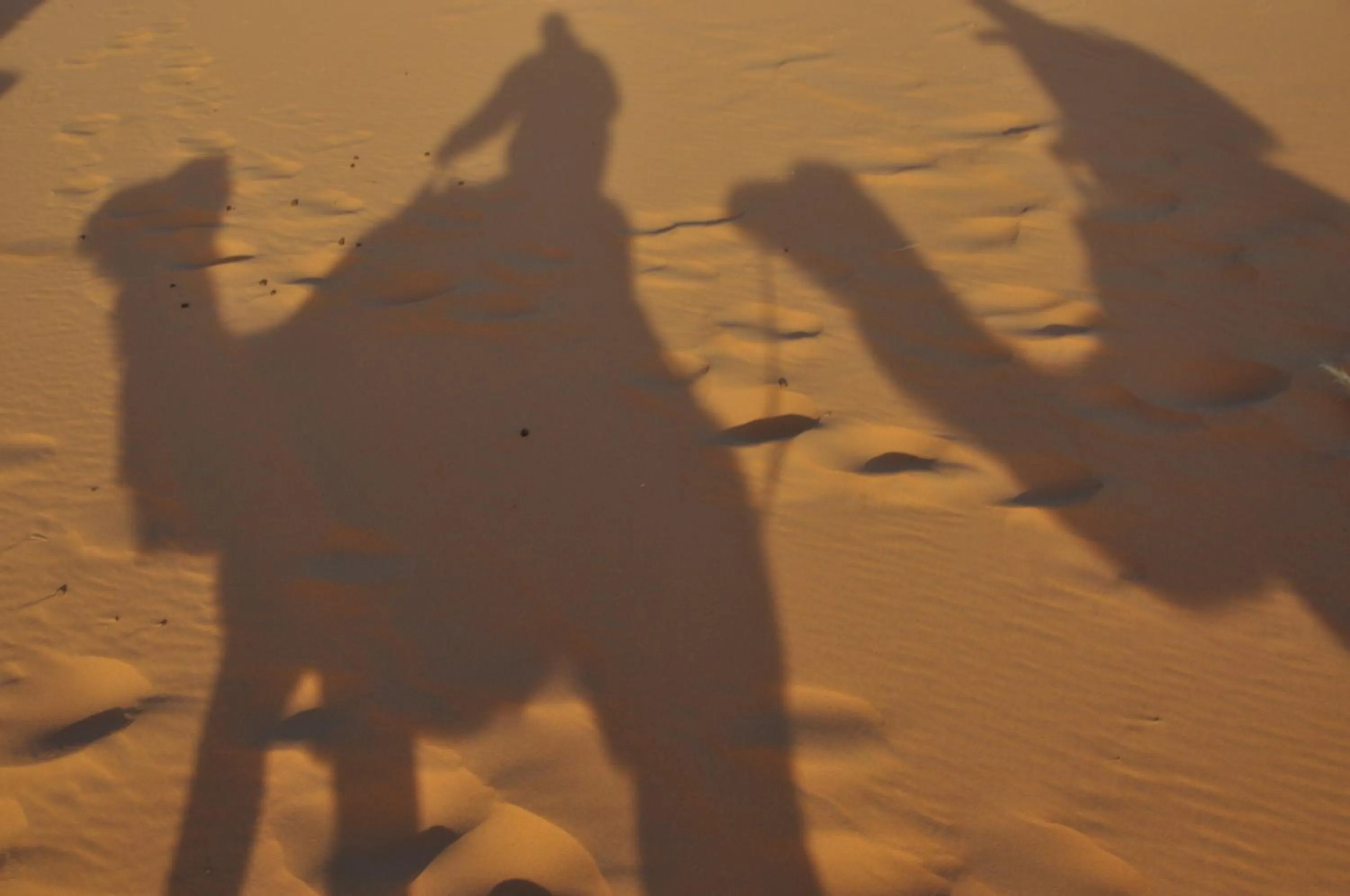 Other, Other Animals in Dar Iman