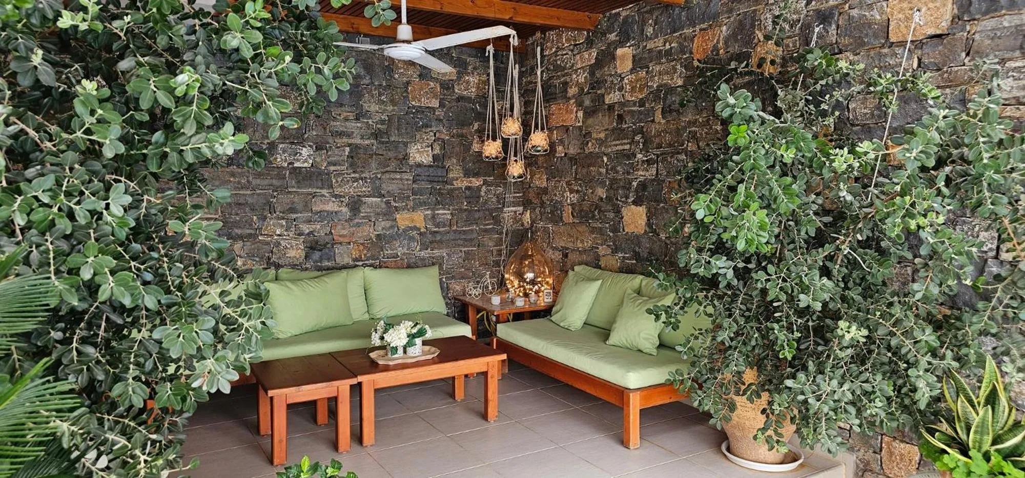 Property building in Asterisuites