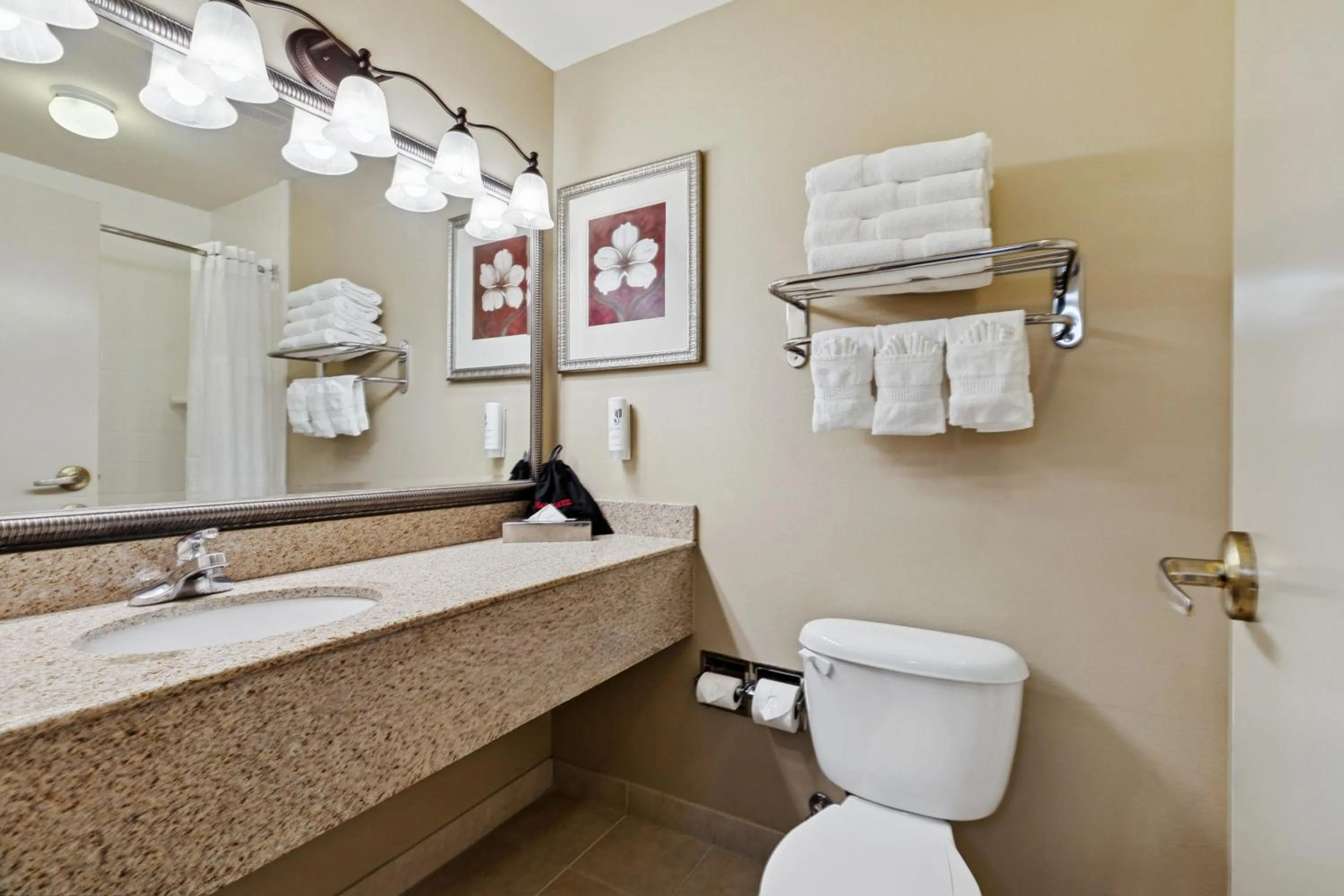 Bathroom in Country Inn & Suites by Radisson, Covington, LA