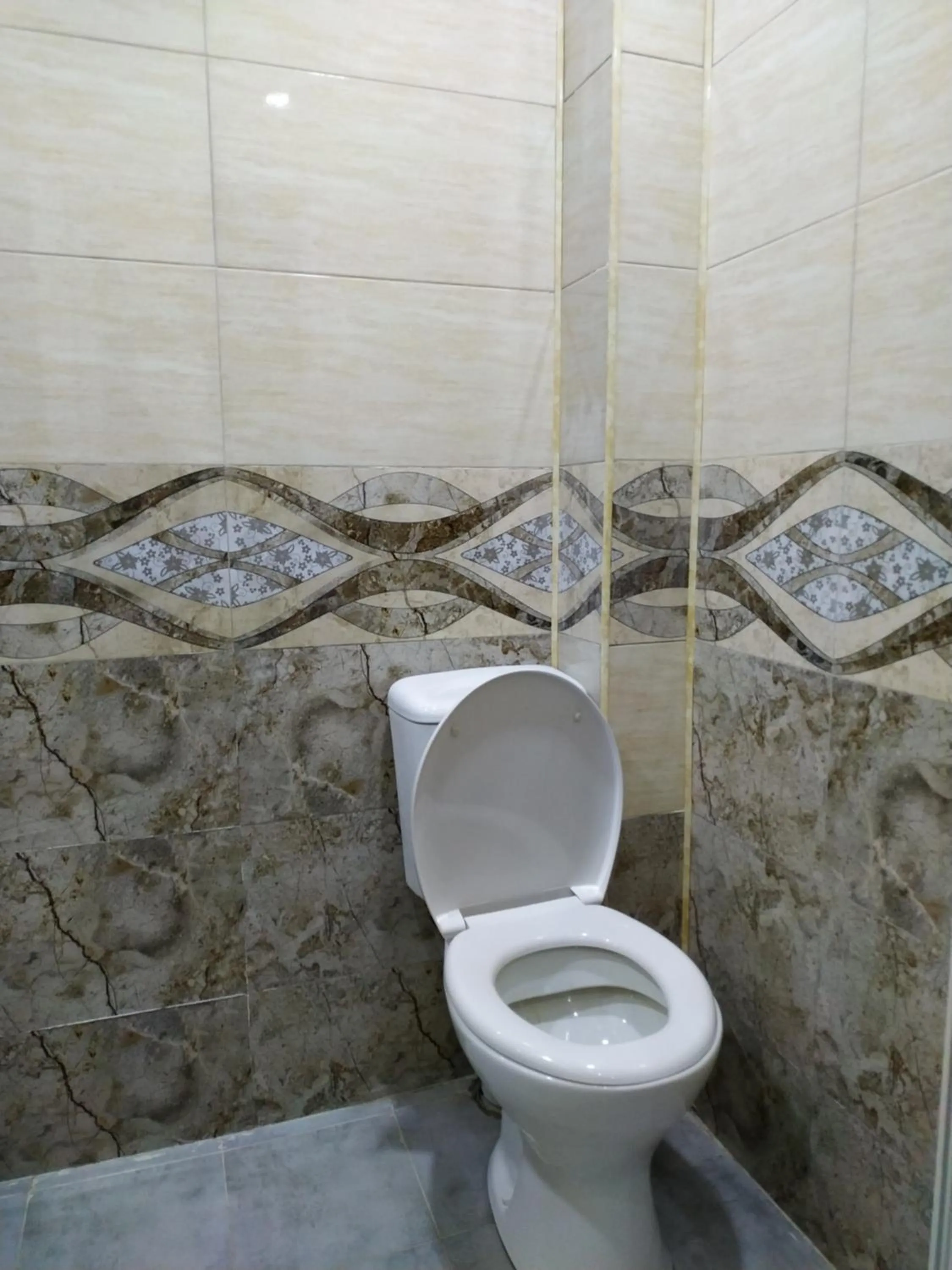 Toilet in My House in Akhaltsikhe
