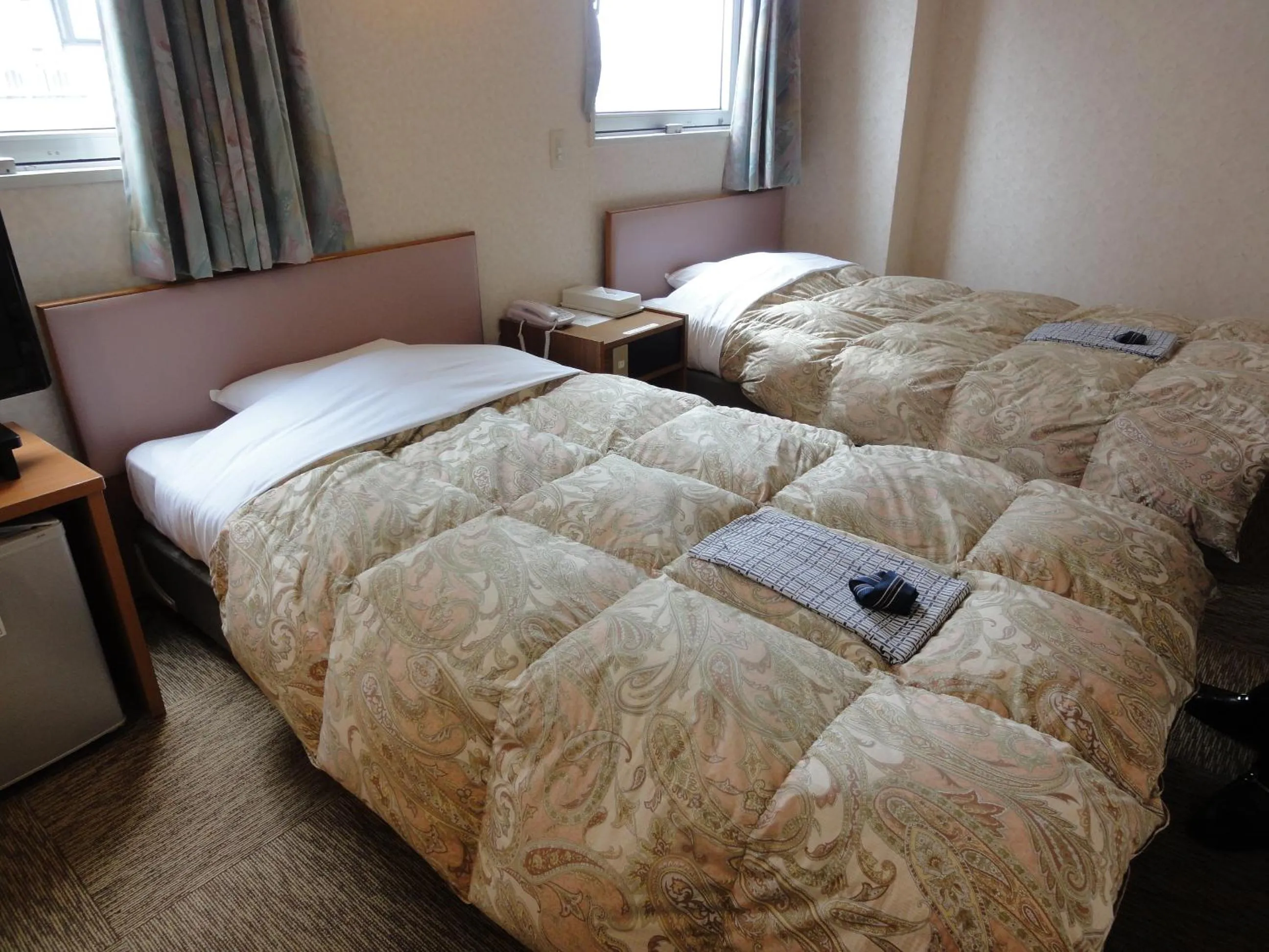 Day, Bed in Matsue Plaza Hotel