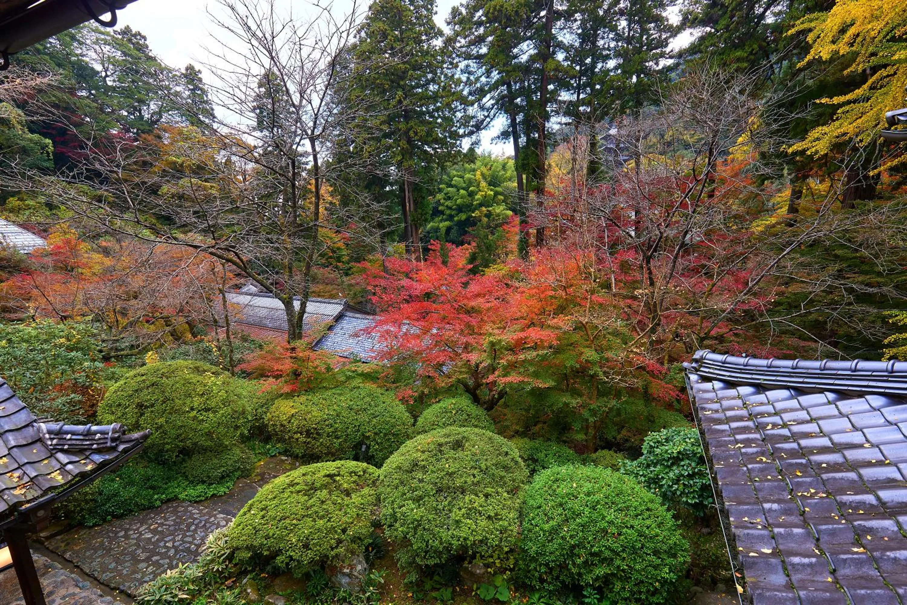View (from property/room) in Ryokan Koyokan