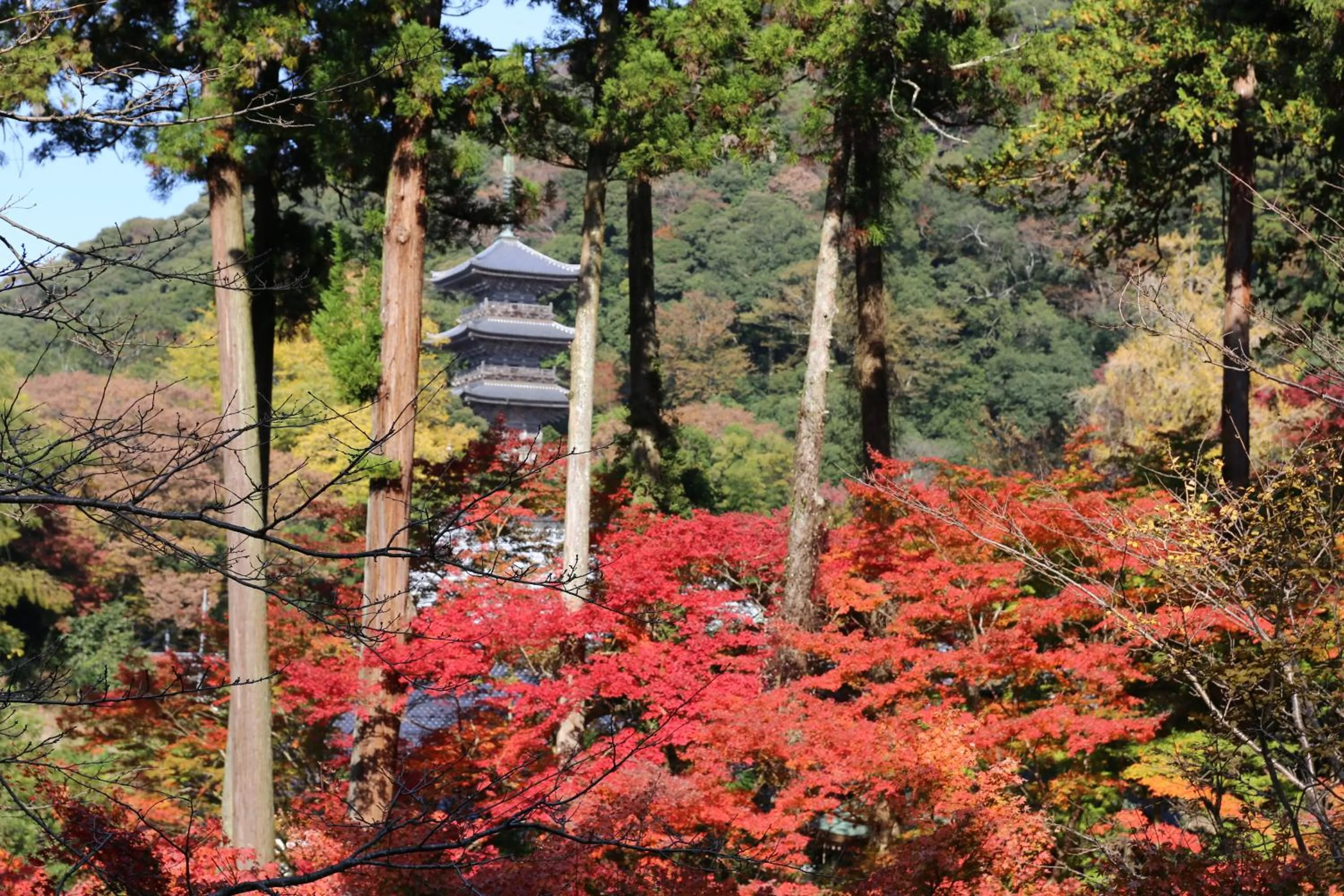 View (from property/room) in Ryokan Koyokan