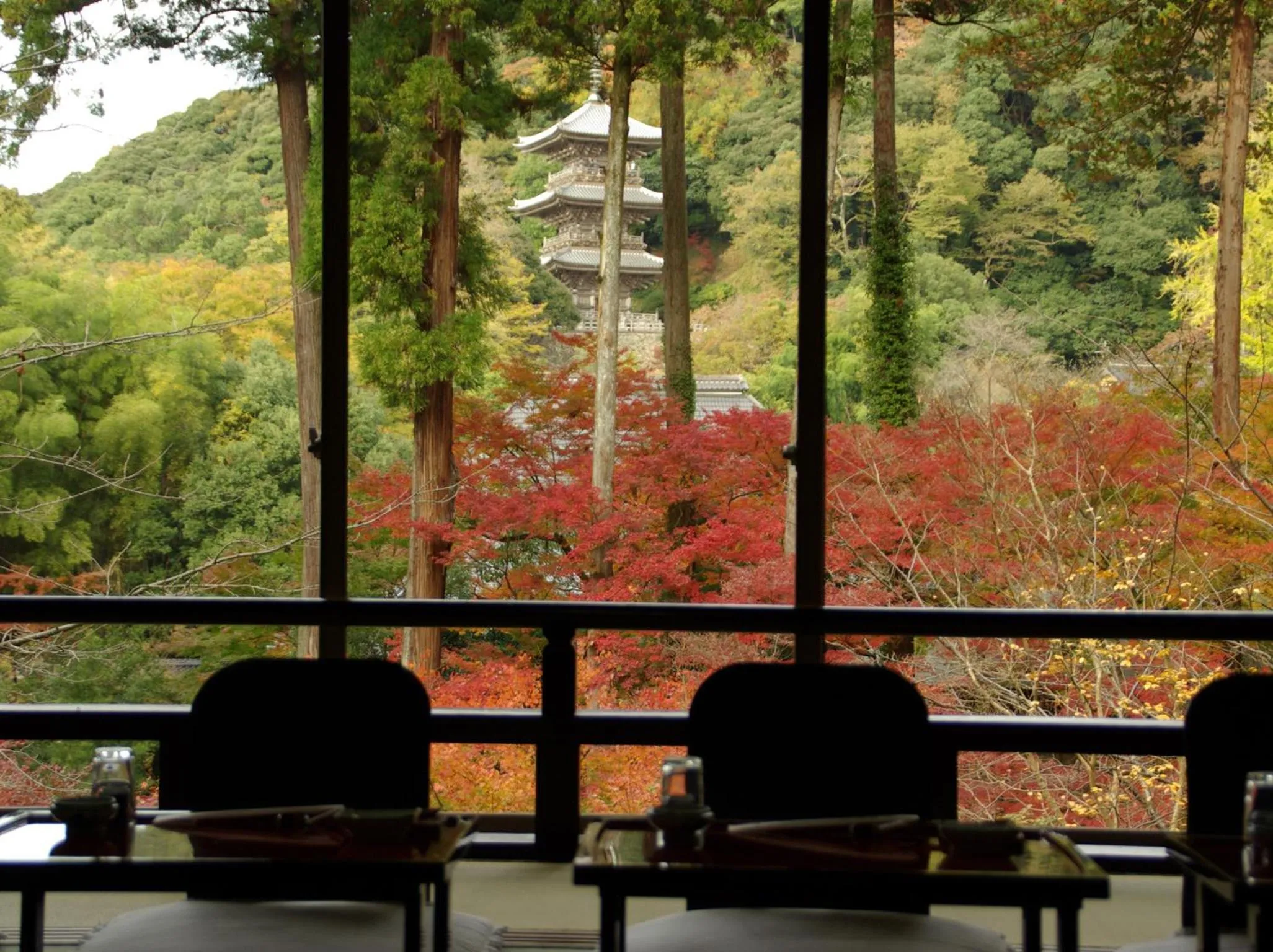 View (from property/room) in Ryokan Koyokan