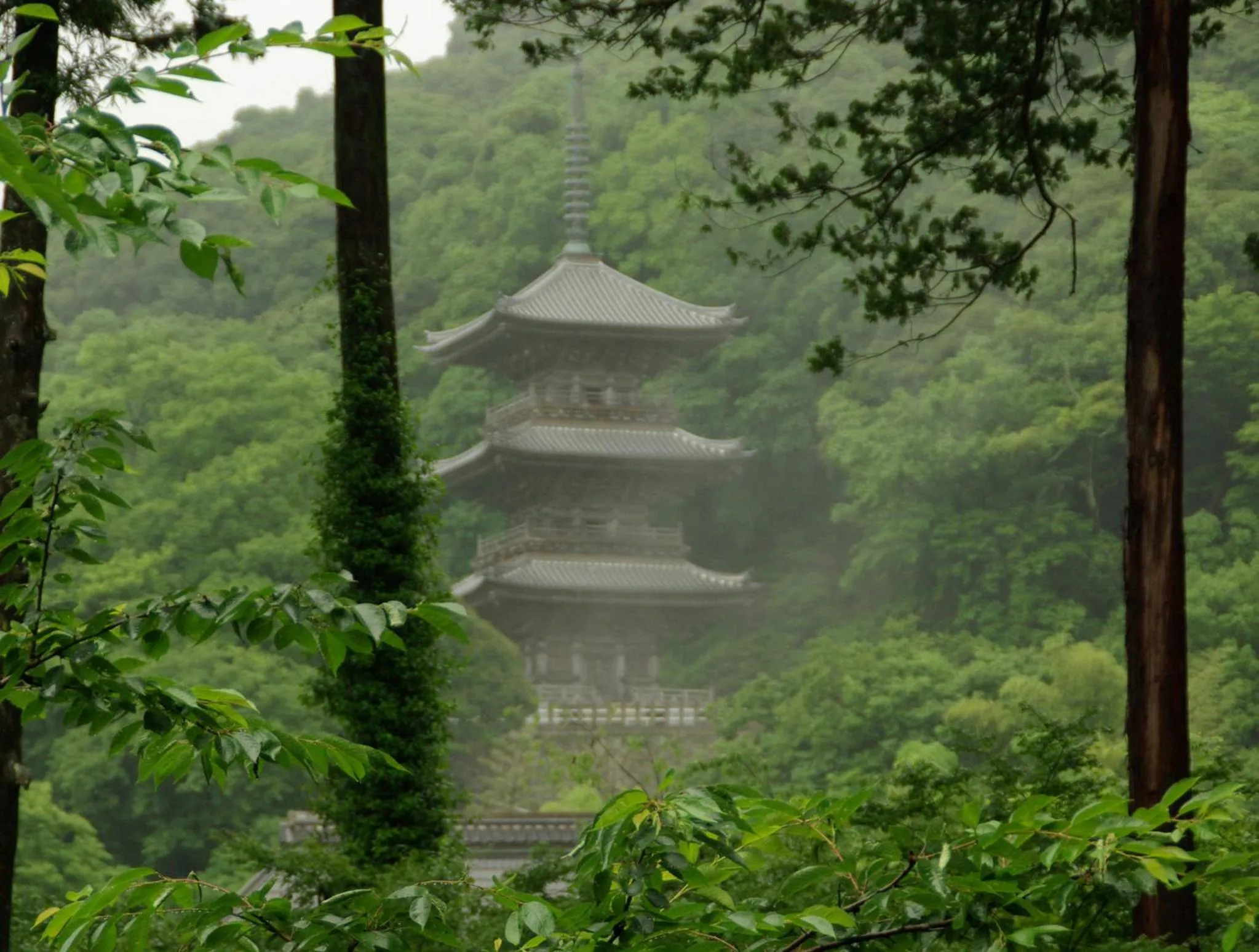 View (from property/room) in Ryokan Koyokan