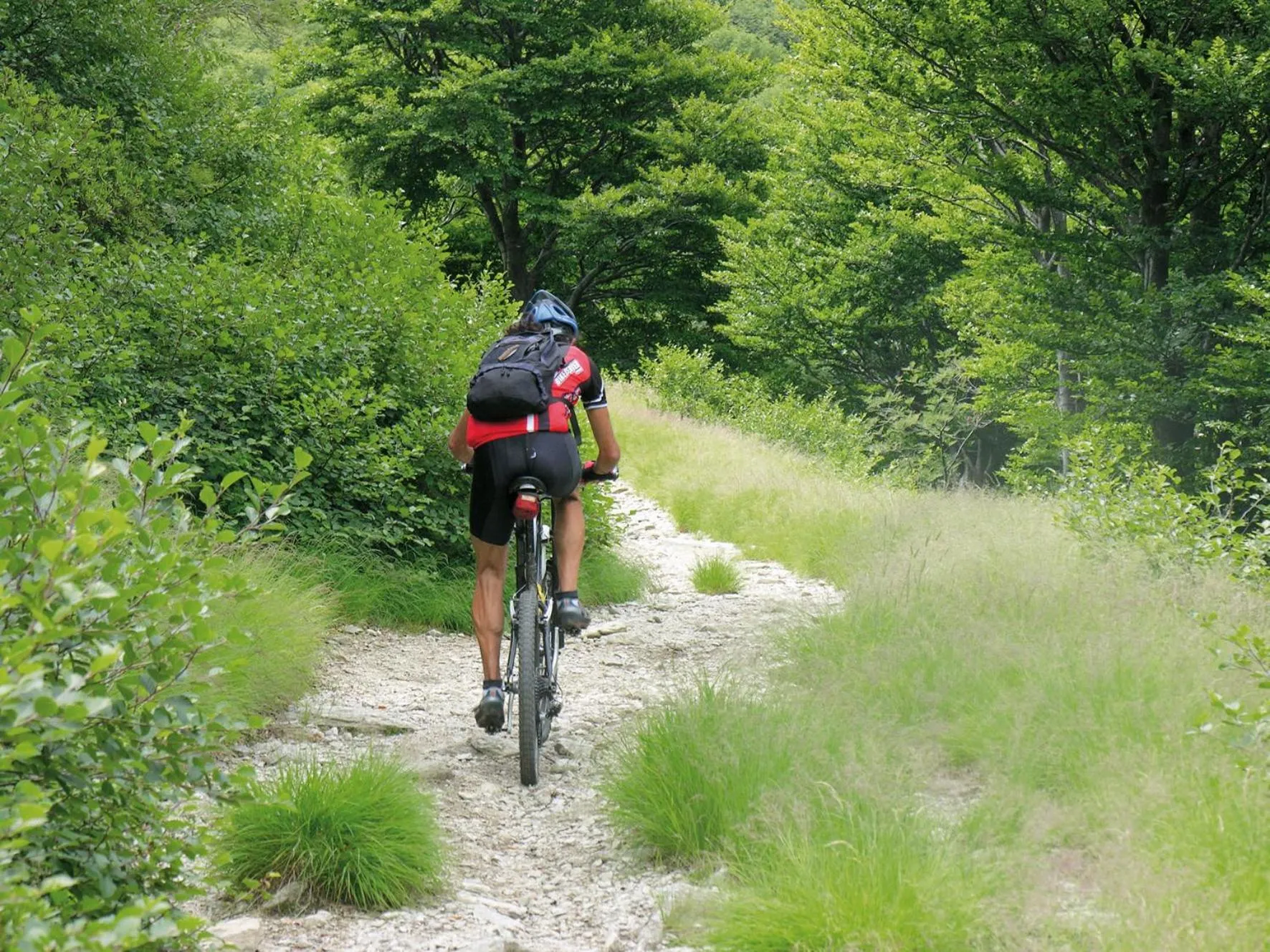 Activities in Hotel & Spa Cacciatori