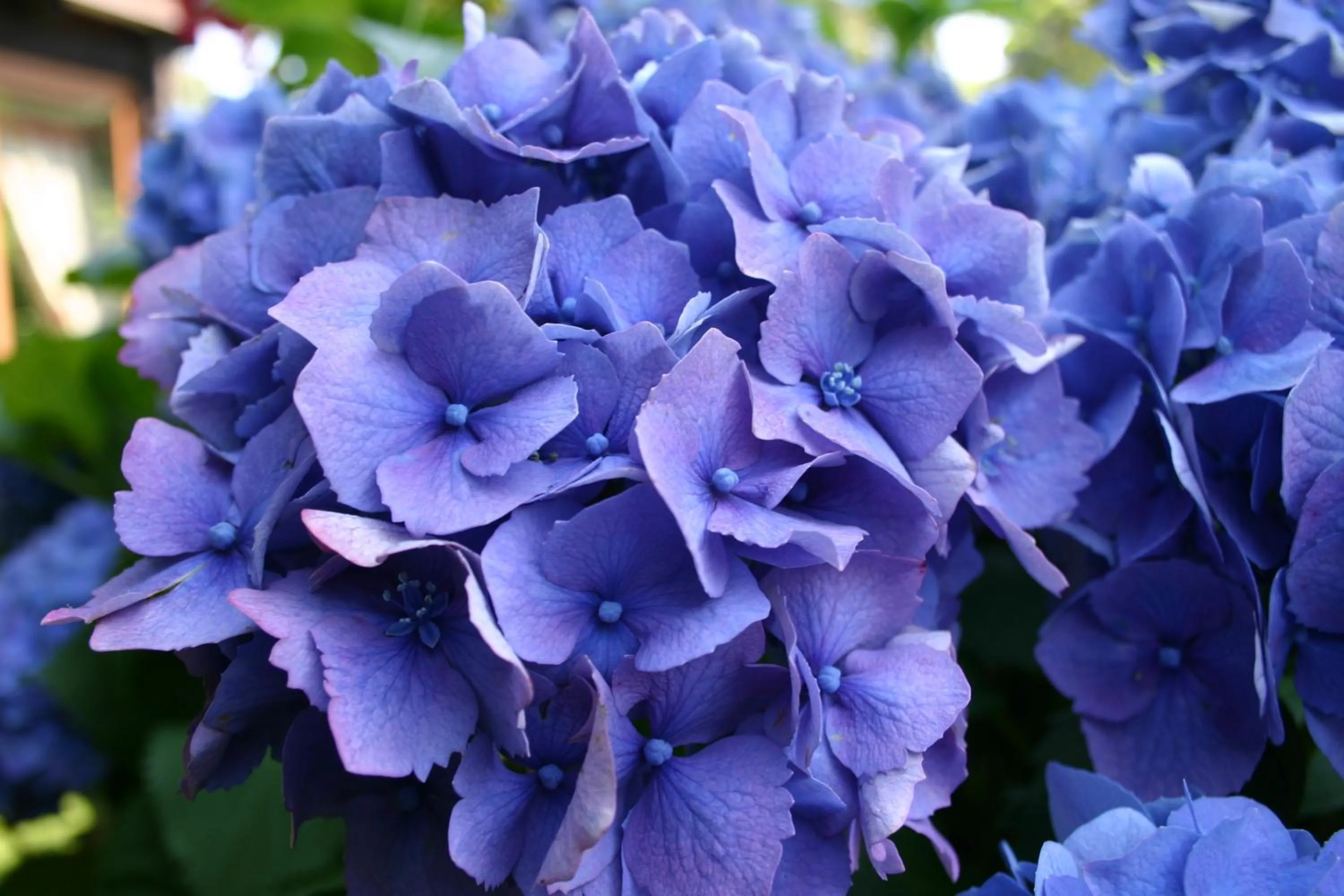 Other in Hotel & Spa Cacciatori