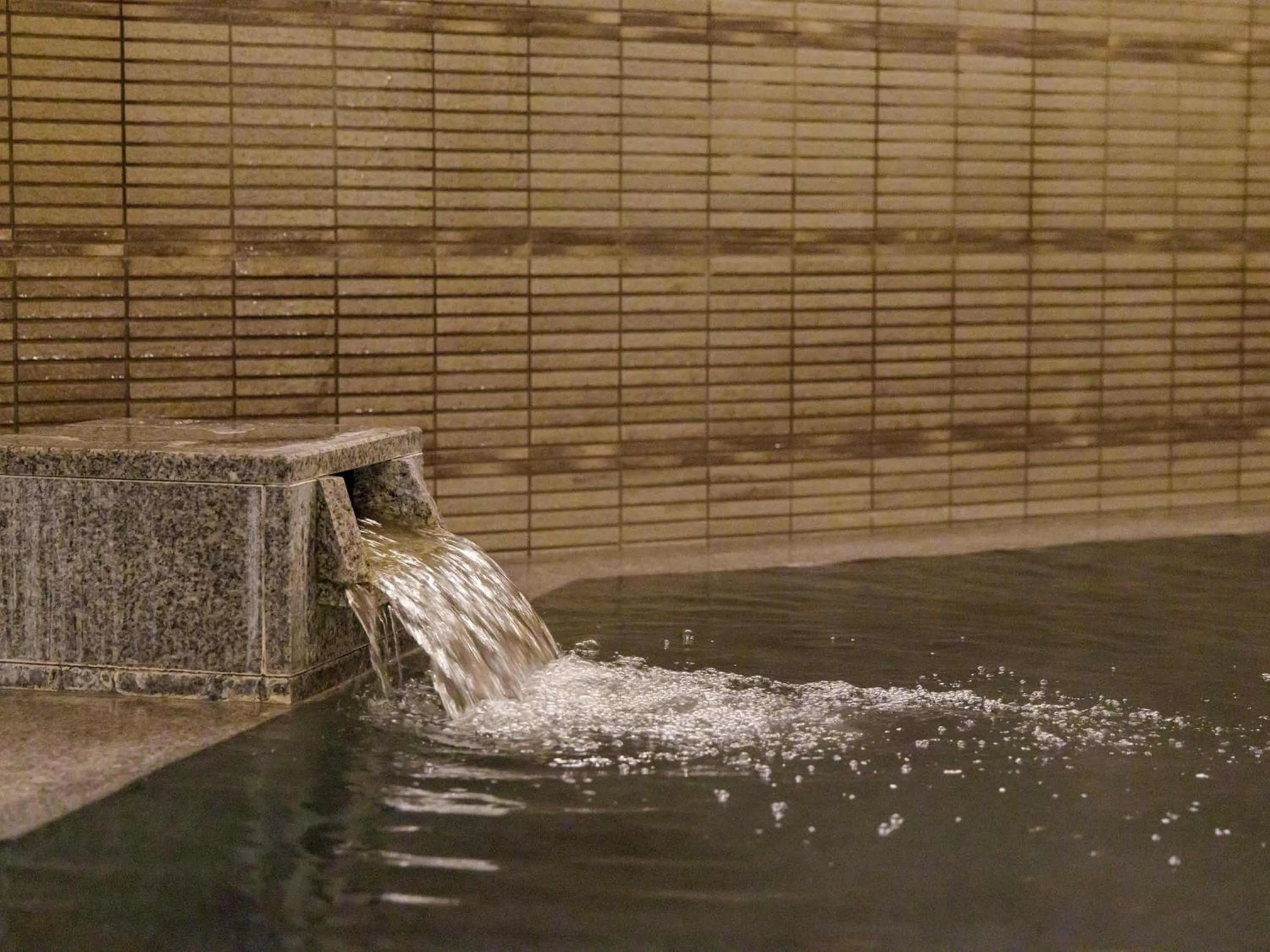 Public Bath in Nishitetsu Inn Kokura