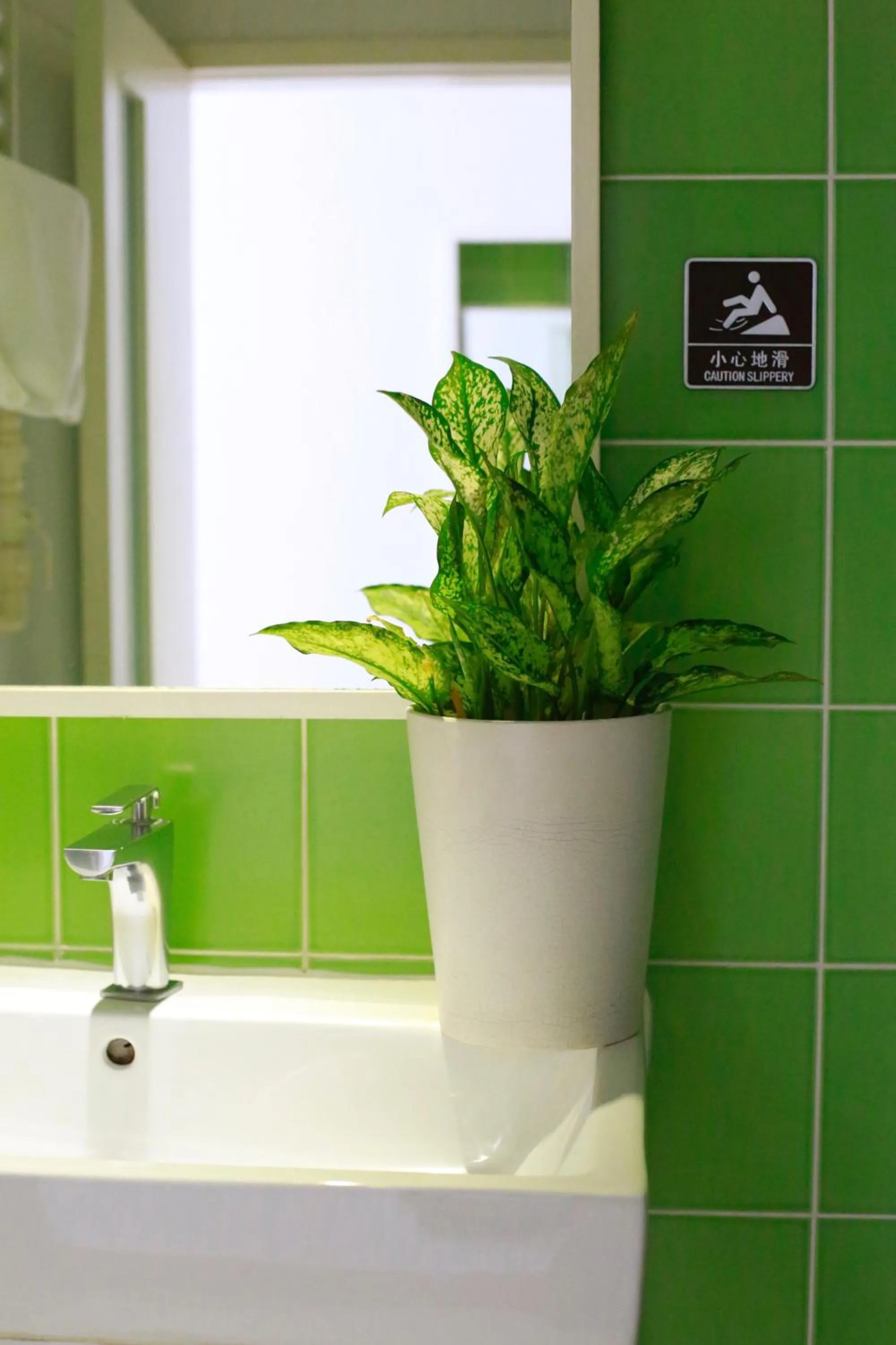 Peking Garden Youth Hostel-Houhai&Nanluoguxiang&Drum tower-Cafe&Bar&Movie night&Social area&Rooftop