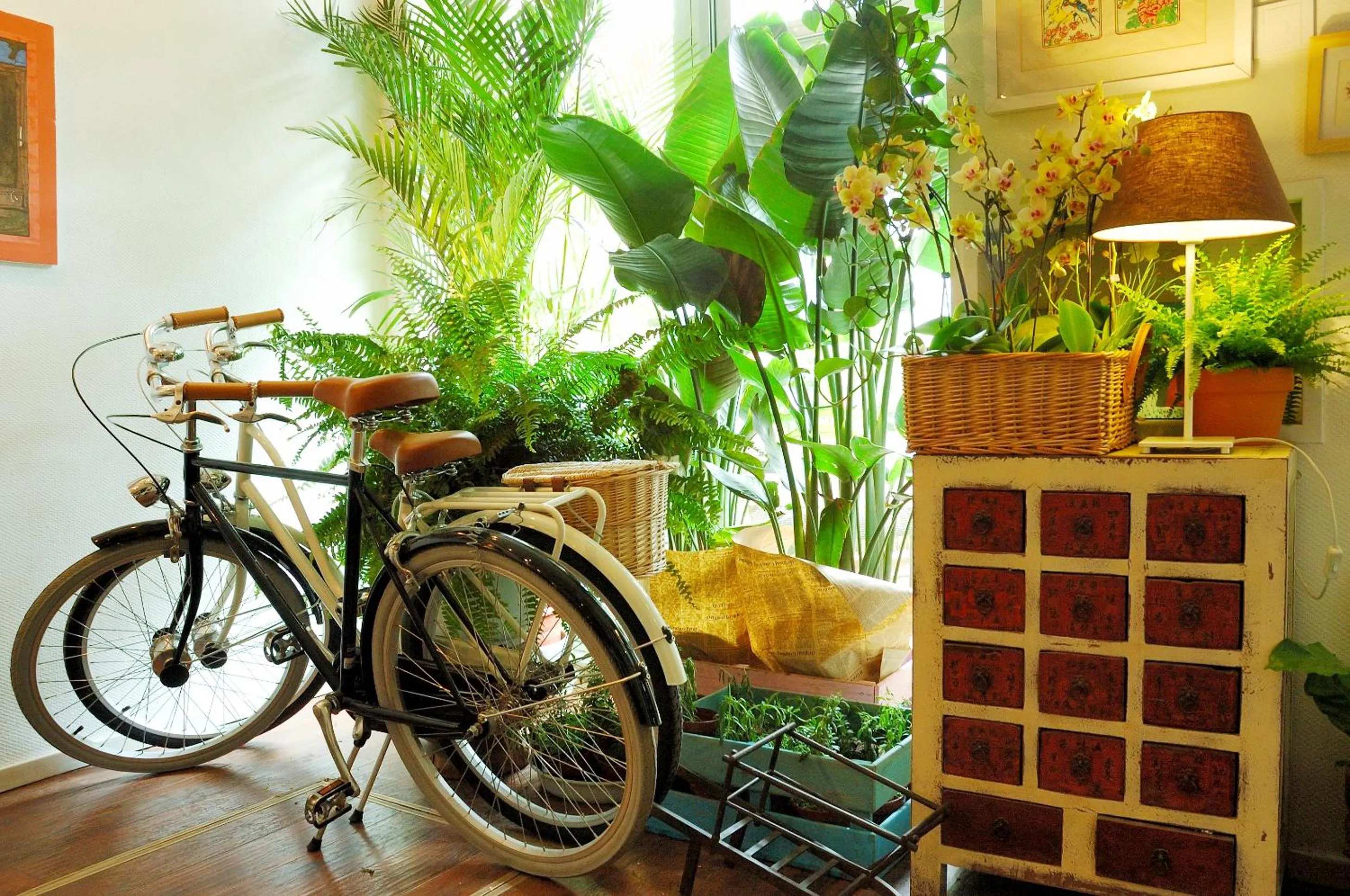 Peking Garden Youth Hostel-Houhai&Nanluoguxiang&Drum tower-Cafe&Bar&Movie night&Social area&Rooftop