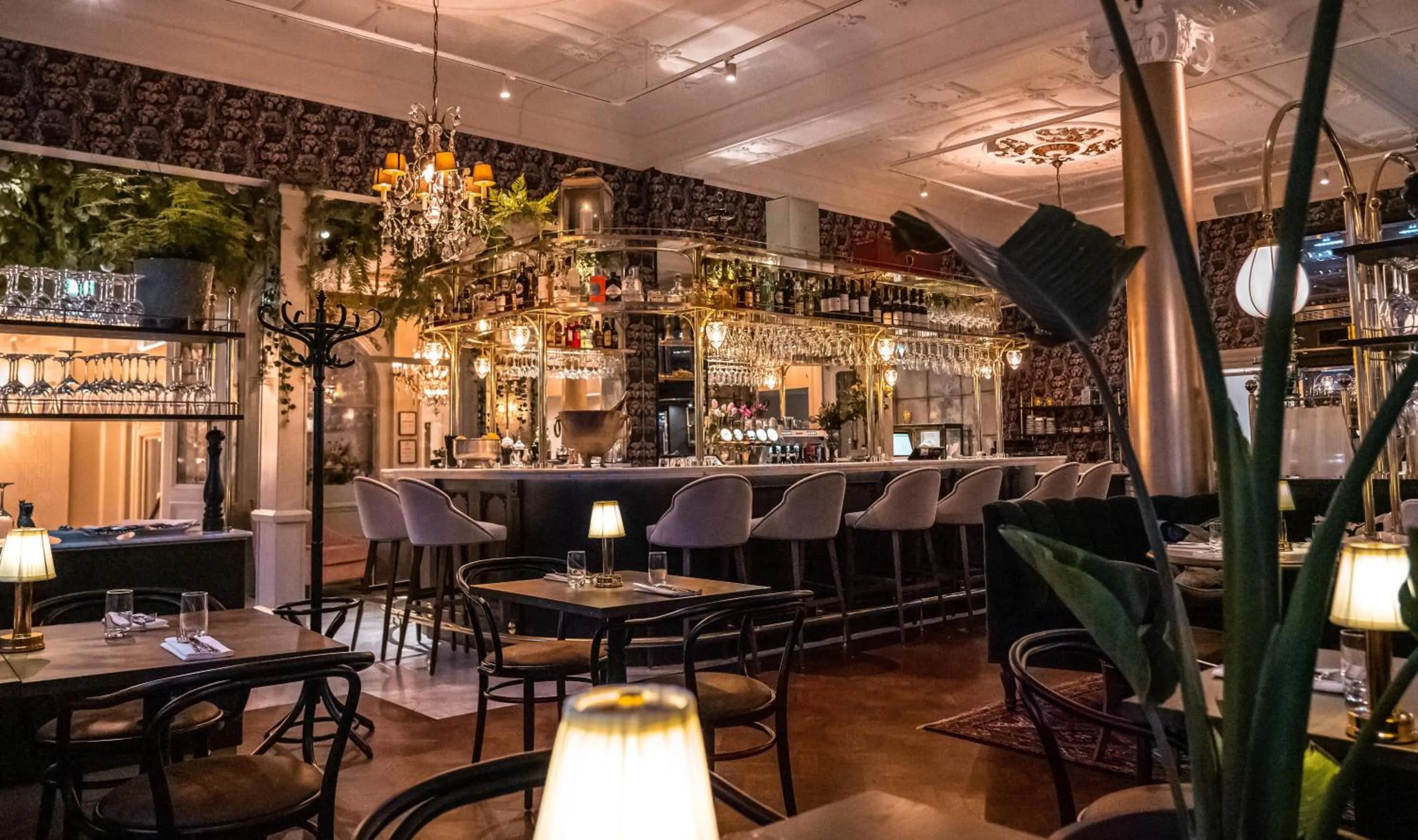 Lounge or bar in Continental du Sud