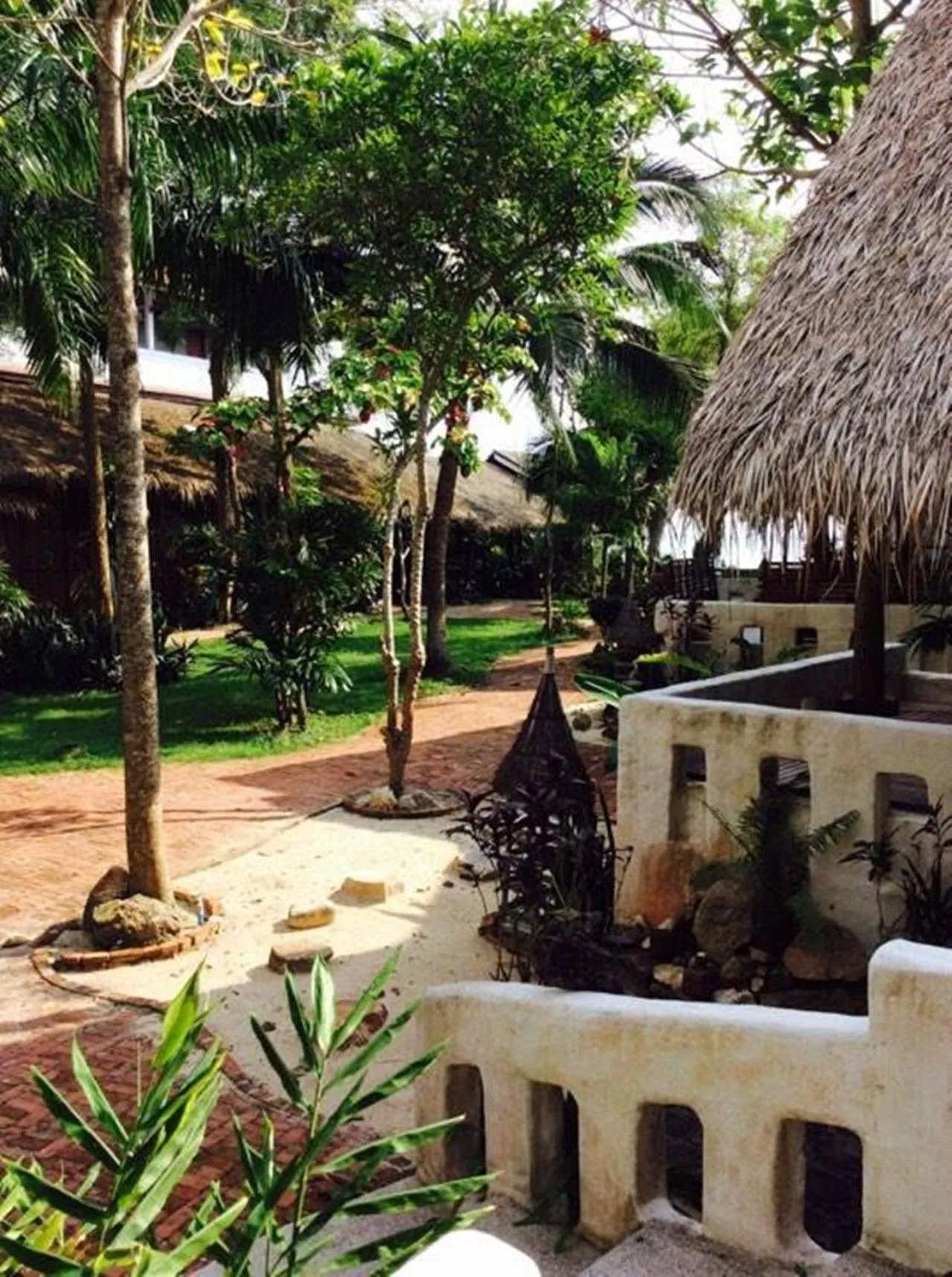 Garden in Fisherman Koh Tao