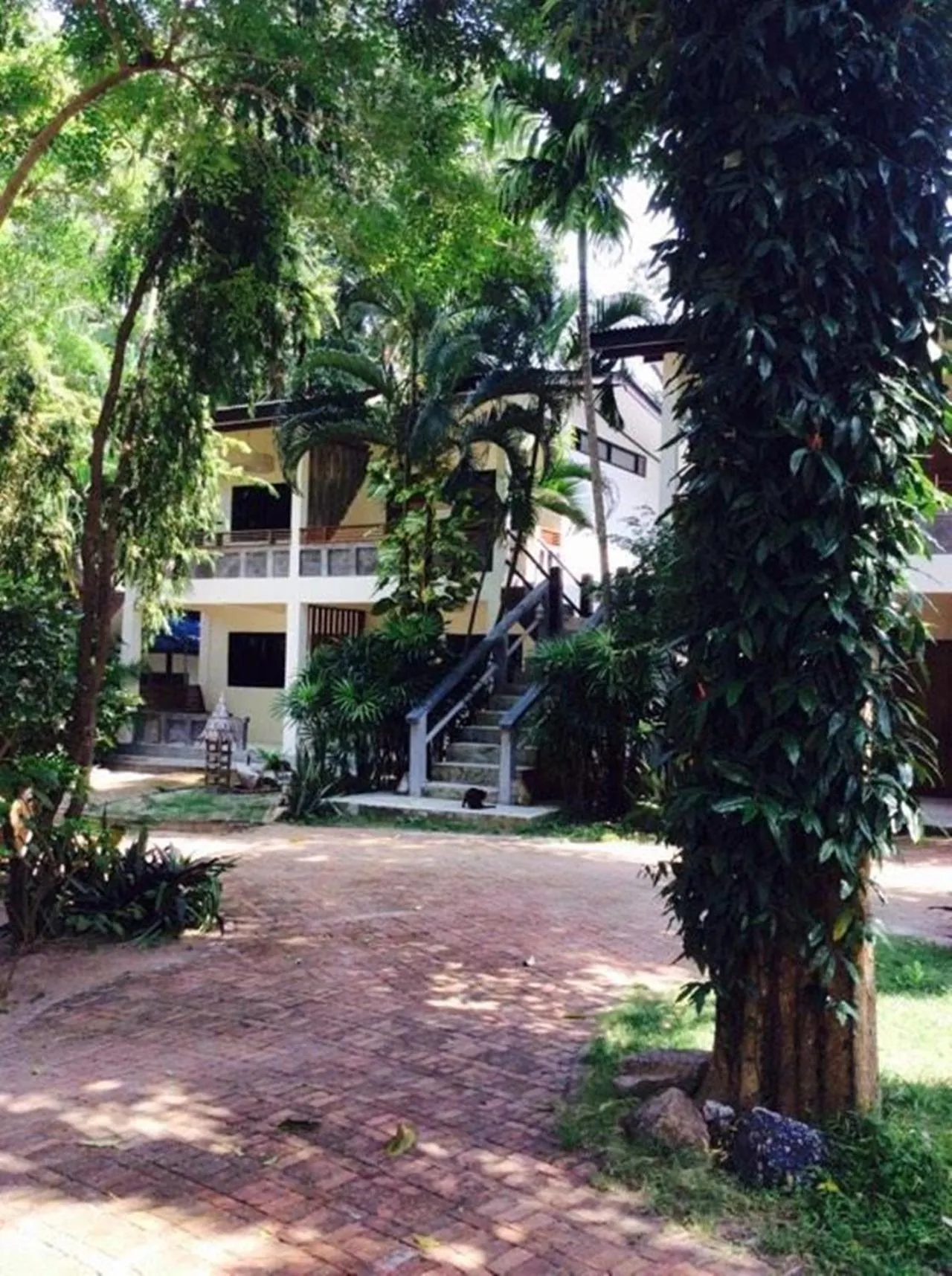 Garden in Fisherman Koh Tao