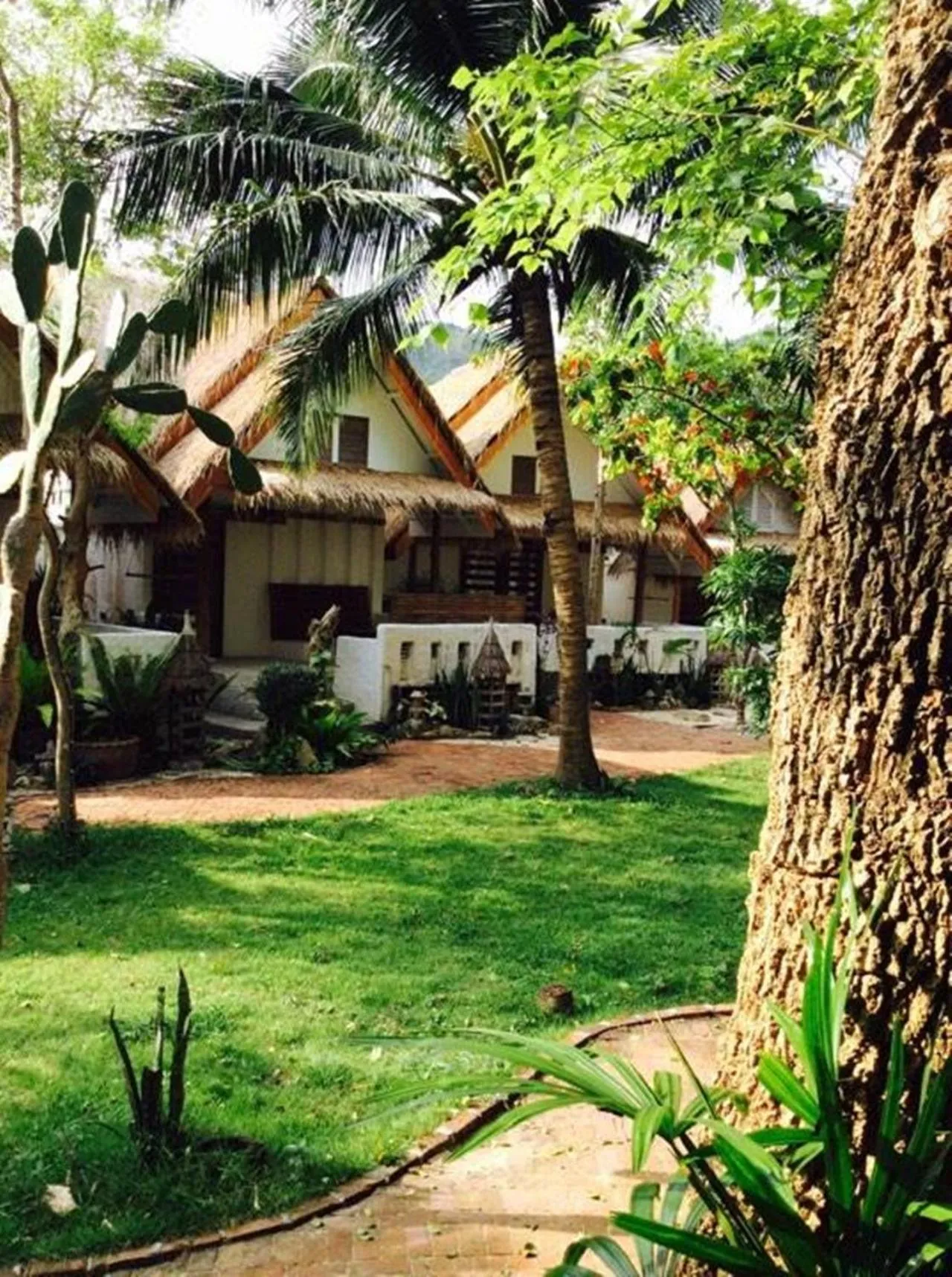 Garden in Fisherman Koh Tao