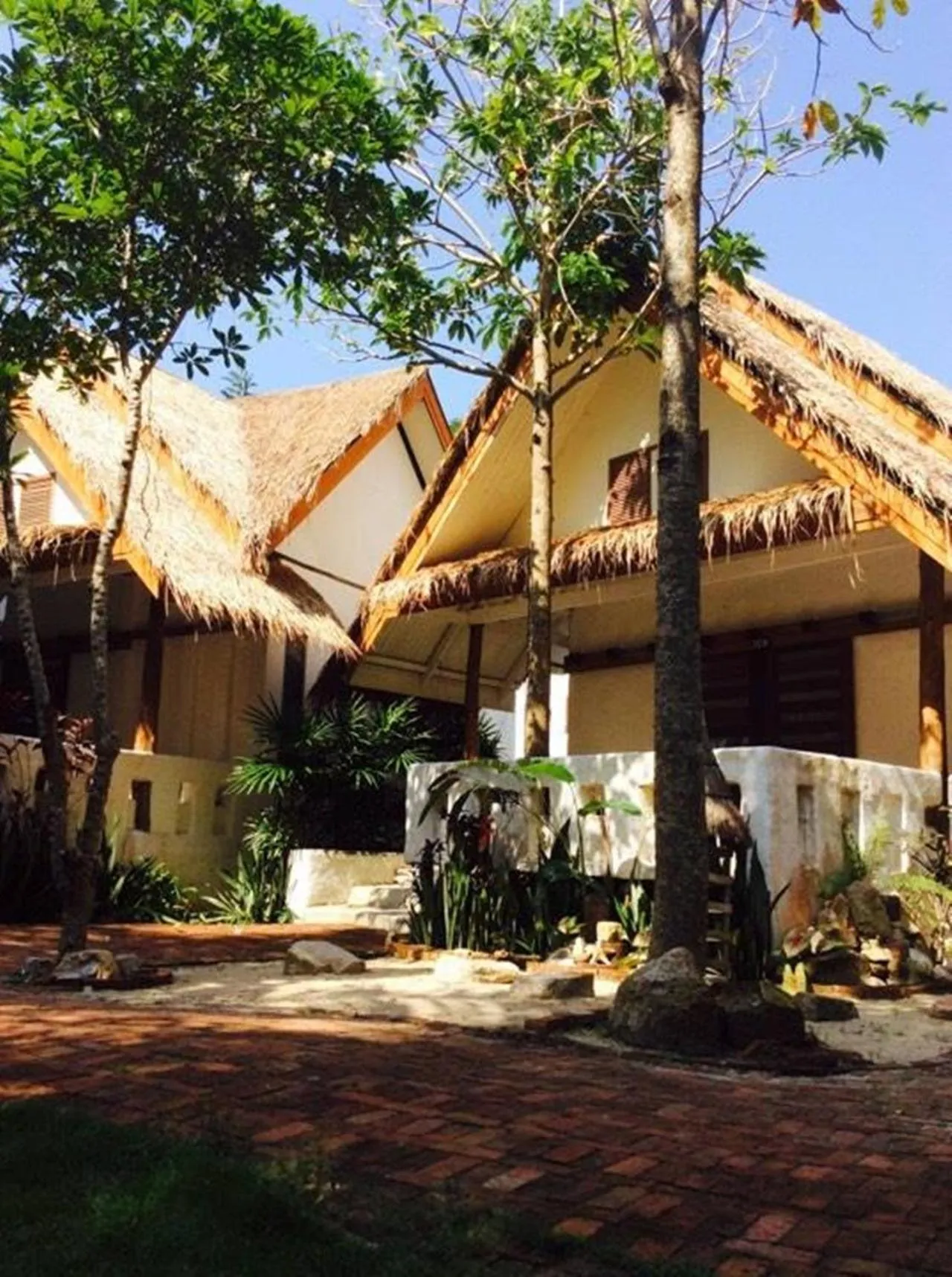 Garden in Fisherman Koh Tao